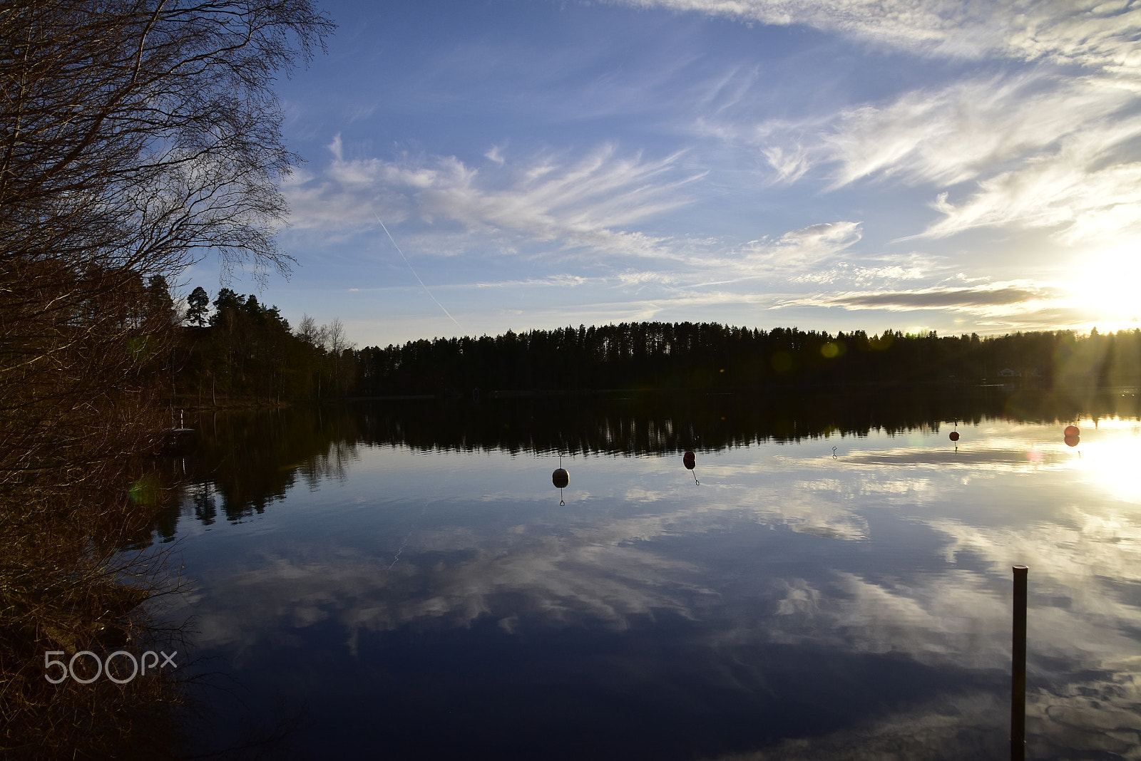 Nikon D5500 sample photo. Spegelblanka nömmen photography