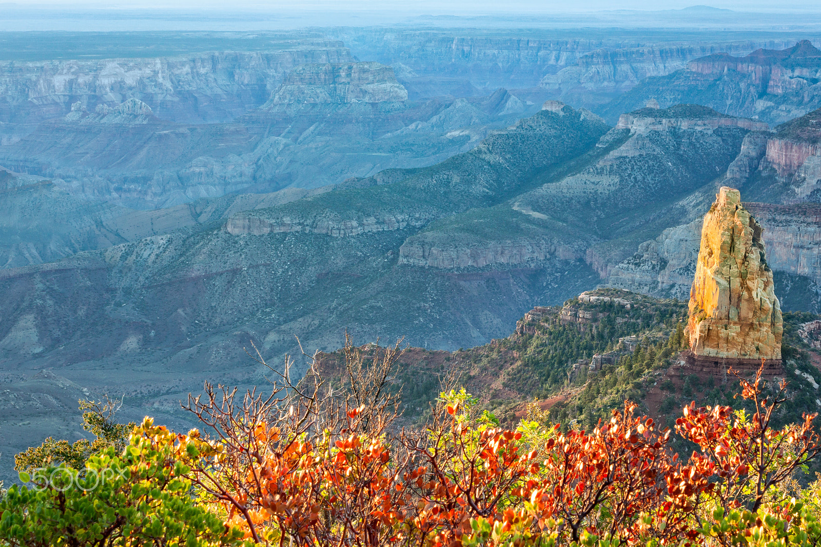 Canon EOS 50D + Canon EF-S 18-55mm F3.5-5.6 IS sample photo. North rim at sunrise photography