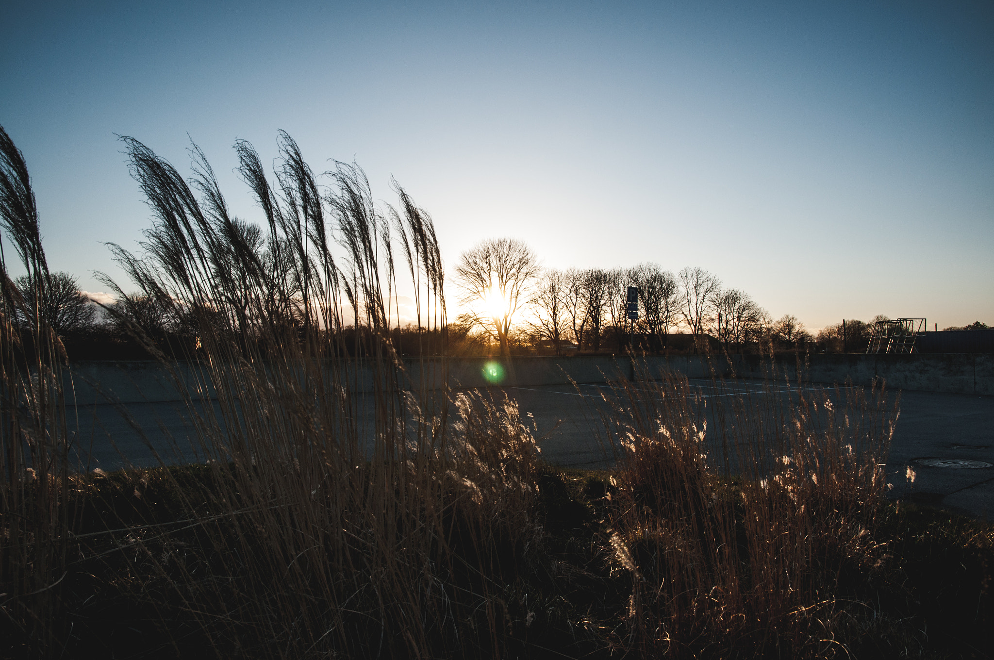 Nikon D90 sample photo. Grass on the beach photography