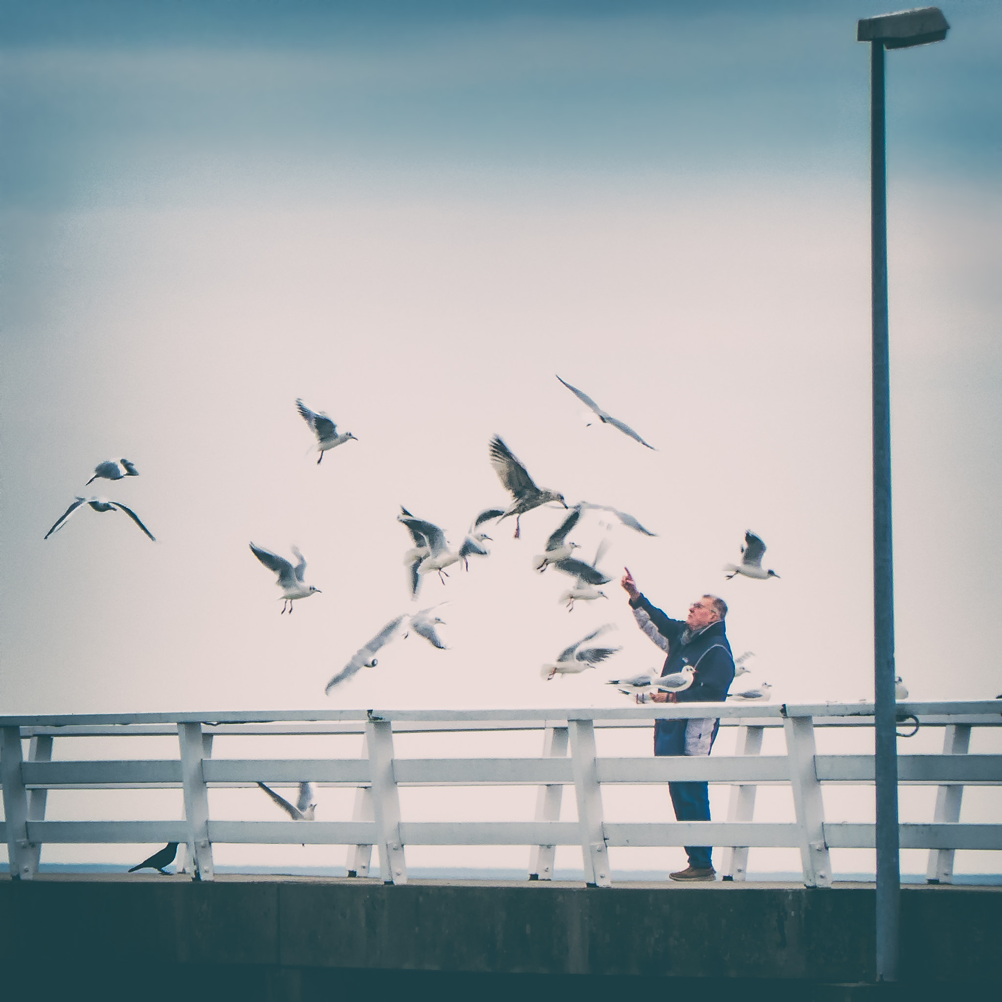 Panasonic Lumix DMC-LF1 sample photo. Timmendorf photography