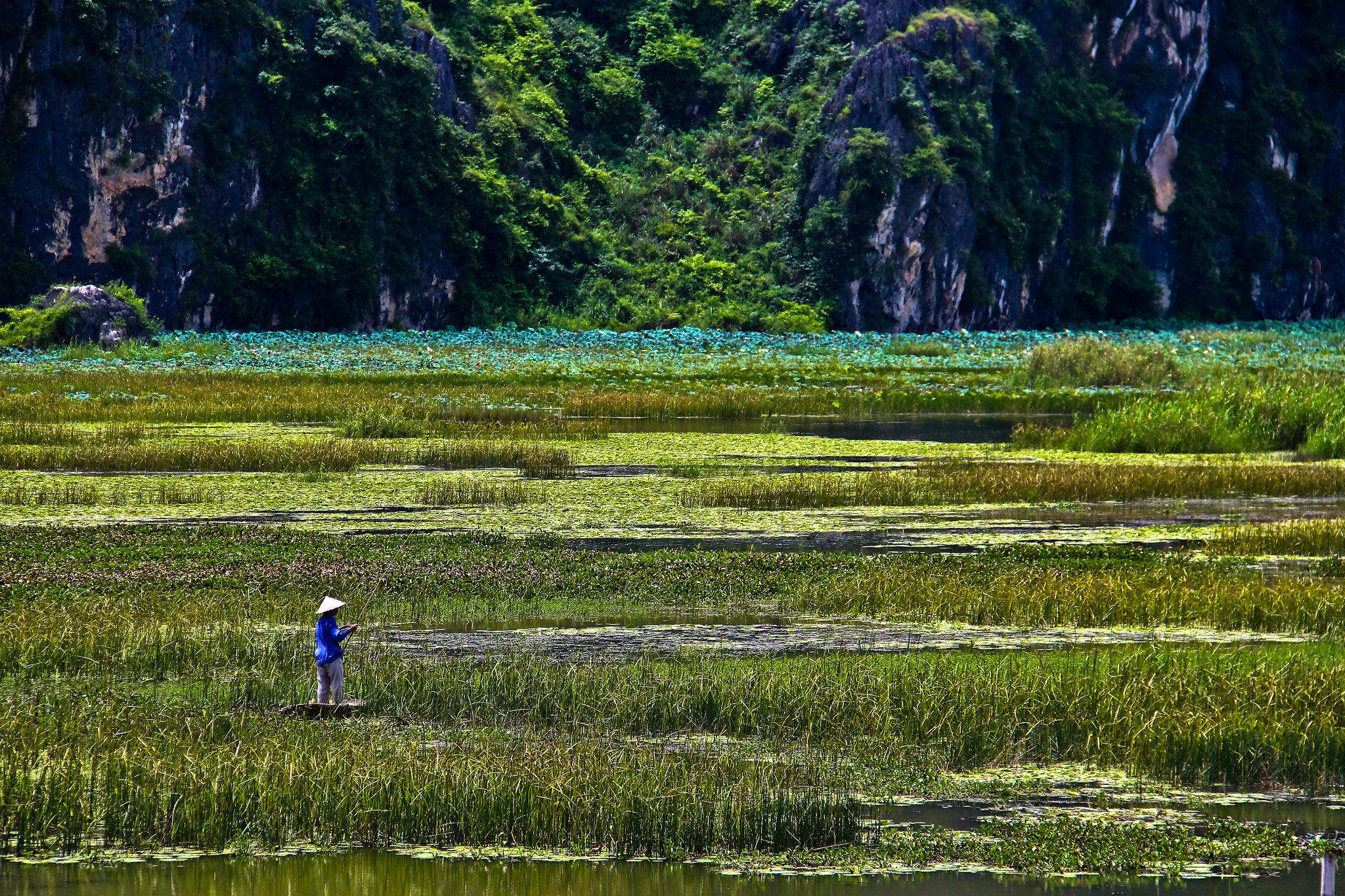 Canon EF-S 18-200mm F3.5-5.6 IS sample photo. Tam coc photography