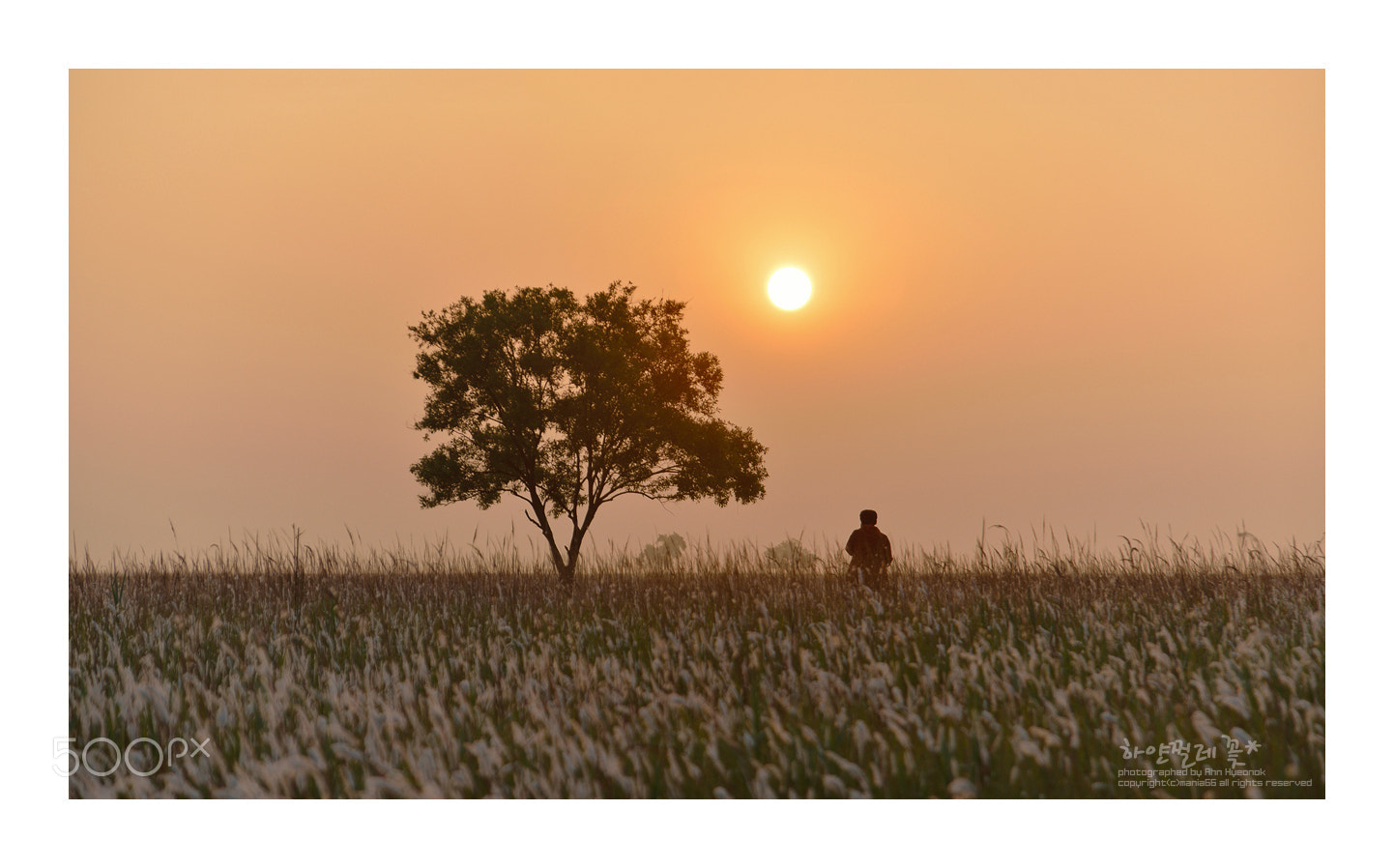 Nikon D800 sample photo. The sunrise photography