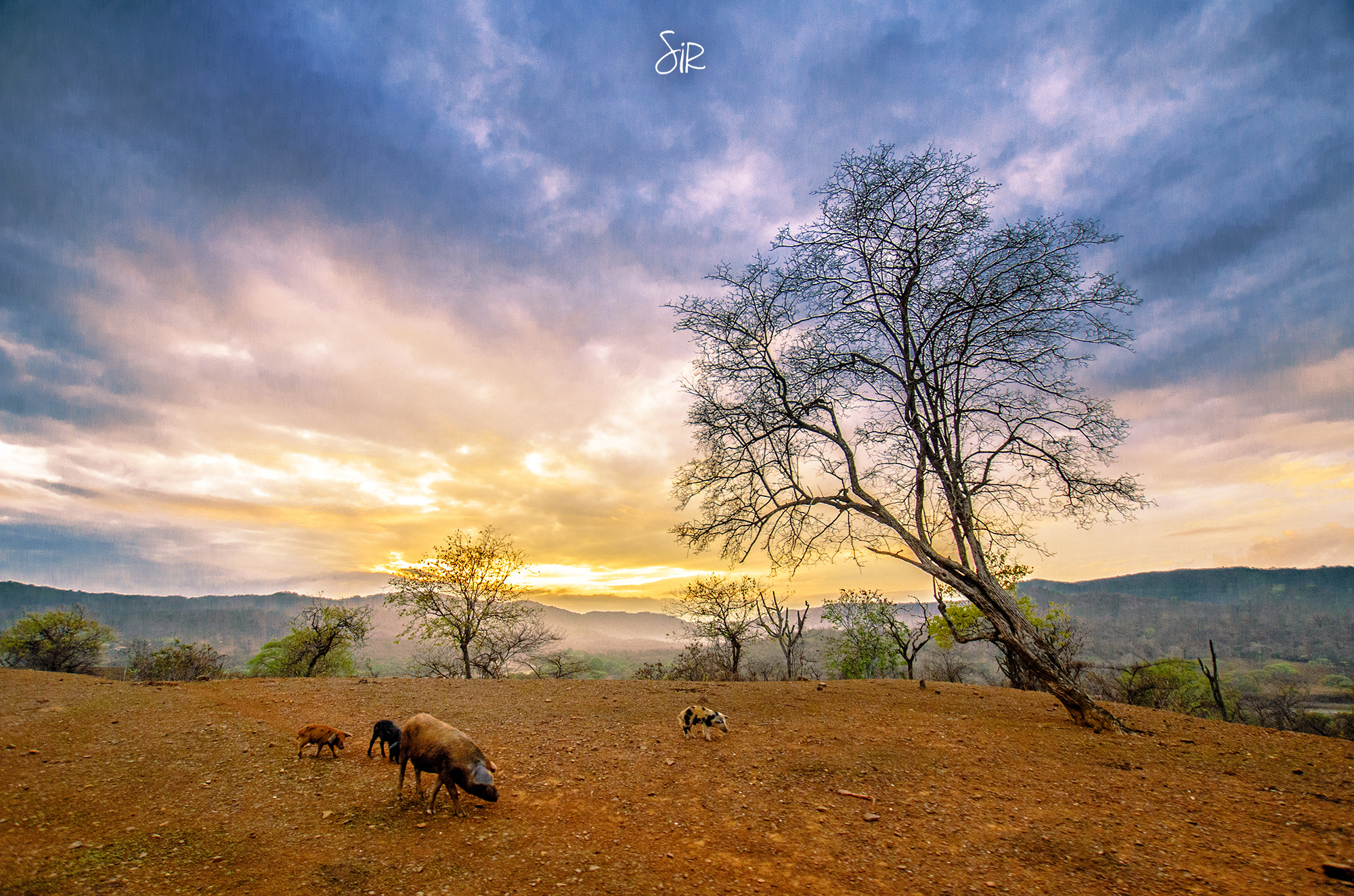 Sigma 10-20mm F3.5 EX DC HSM sample photo. Al alba photography