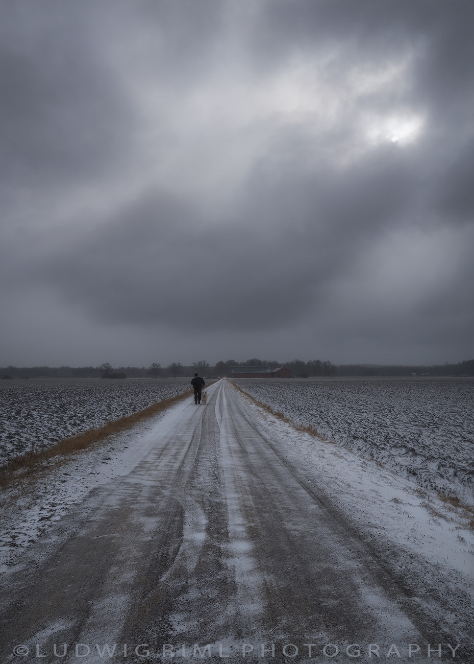 Sony a7R II + Sony Vario-Tessar T* FE 16-35mm F4 ZA OSS sample photo. The walk photography