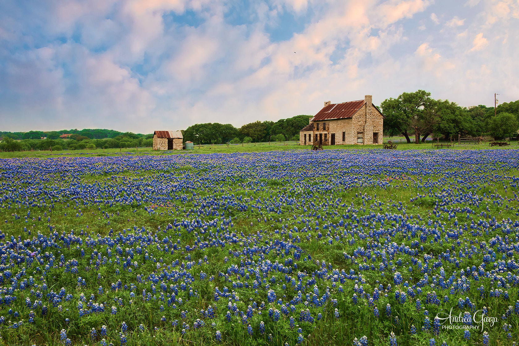 Canon EOS 6D sample photo. The "bluebonnet house" near marble falls photography