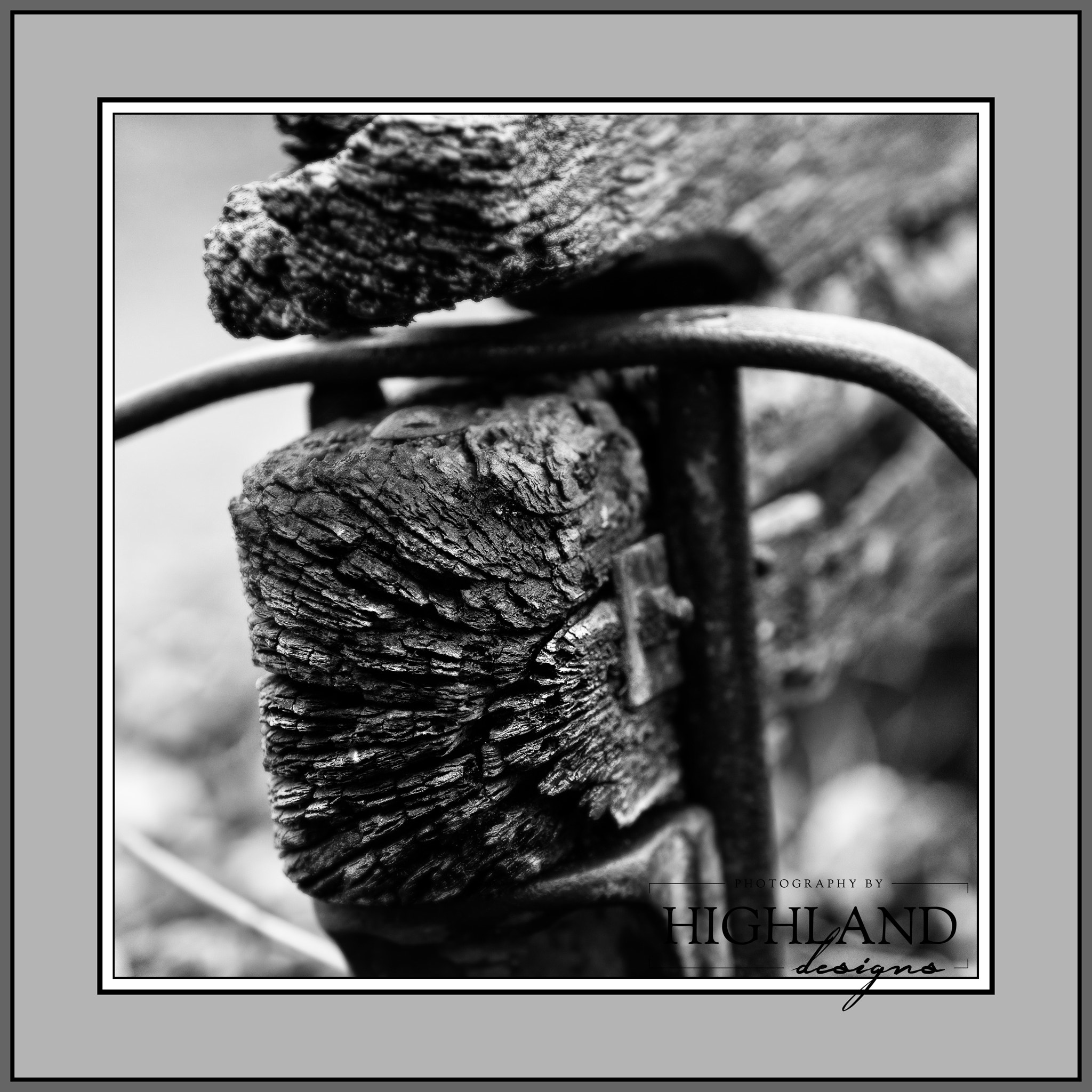 Canon EF 70-200mm F2.8L USM sample photo. The sleigh photography