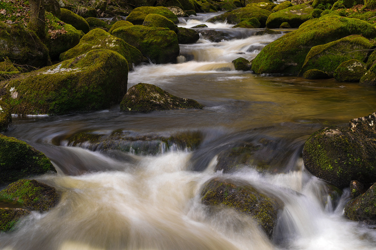 Pentax 645Z + HD Pentax D FA 645 Macro 90mm F2.8 ED AW SR sample photo. Mountain stream photography