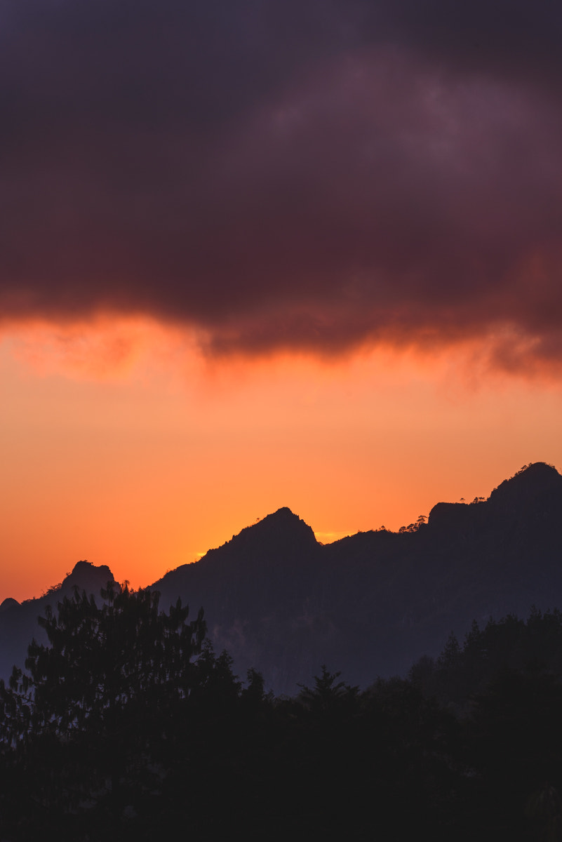 Sigma 150-600mm F5-6.3 DG OS HSM | C sample photo. Morning peak photography