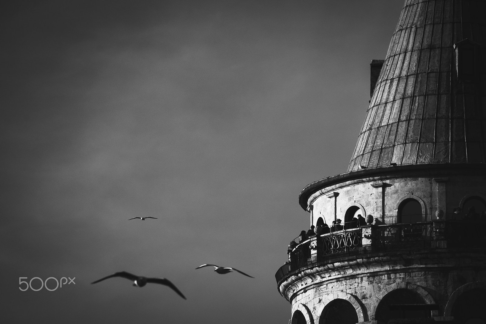 Fujifilm X-T2 + Fujifilm XF 100-400mm F4.5-5.6 R LM OIS WR sample photo. Galata tower & seagulls photography