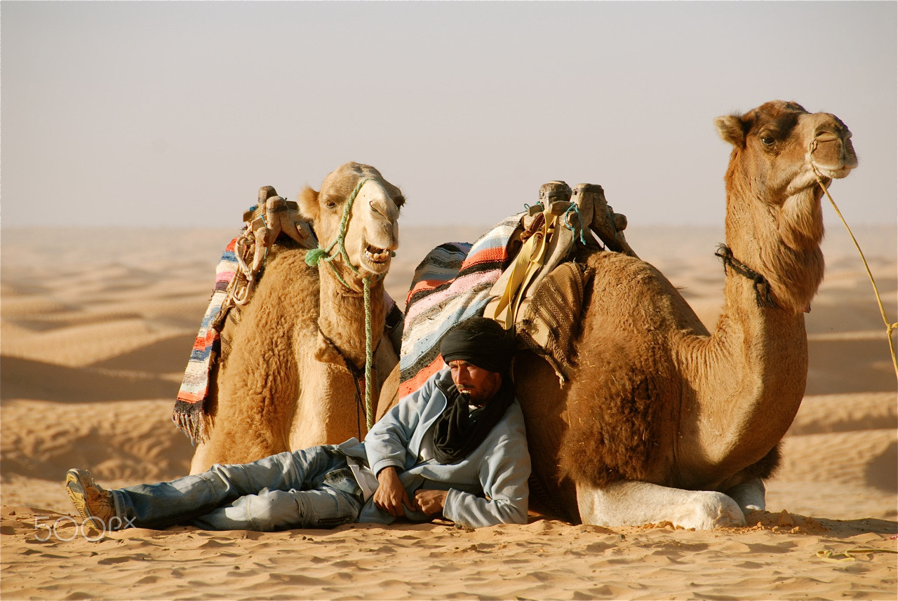 Nikon D200 + Nikon AF-S DX Nikkor 18-200mm F3.5-5.6G IF-ED VR sample photo. Men tunisia desert camel summer photography