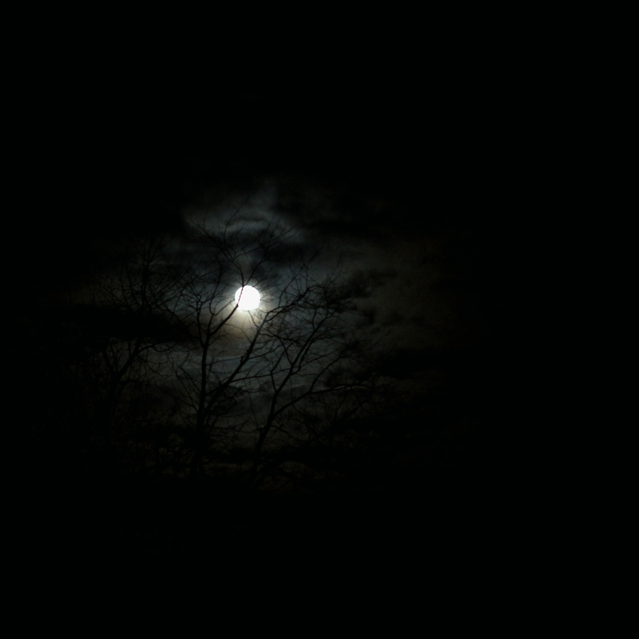 Canon EF-S 60mm F2.8 Macro USM sample photo. The calm in the night photography