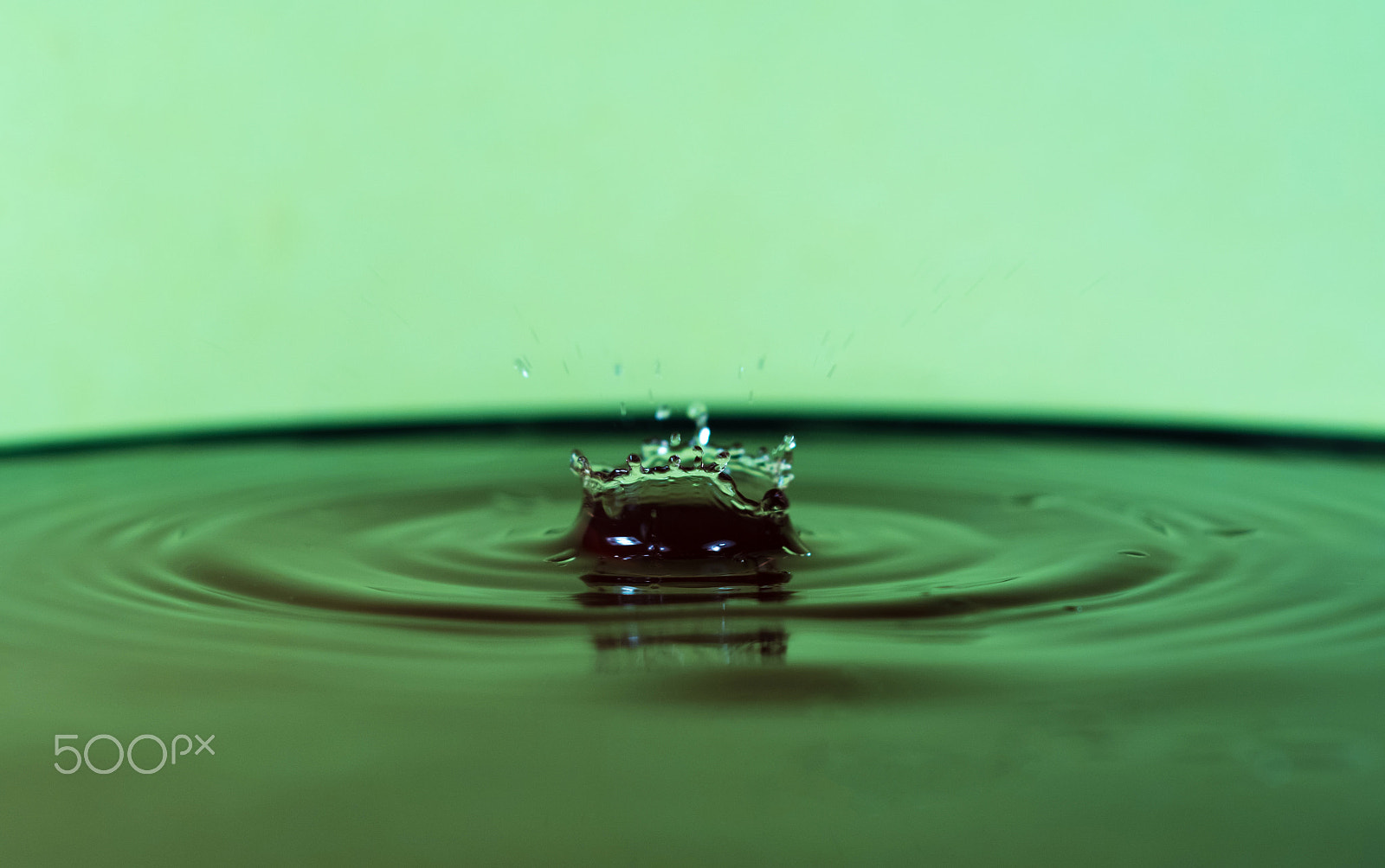 Nikon D7100 sample photo. Water drops game photography