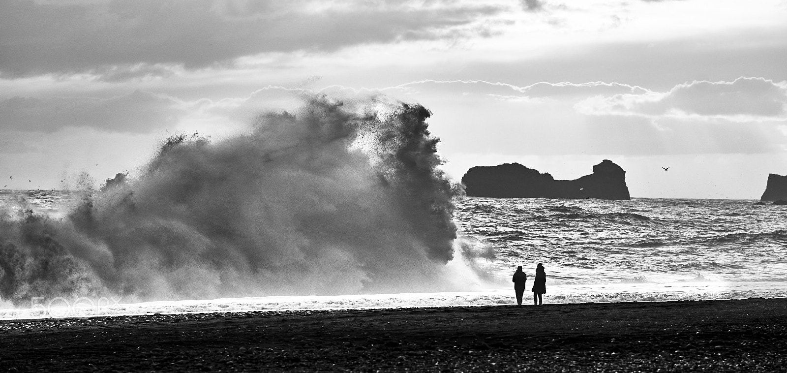 Leica SL (Typ 601) sample photo. Walk on the beach iii photography