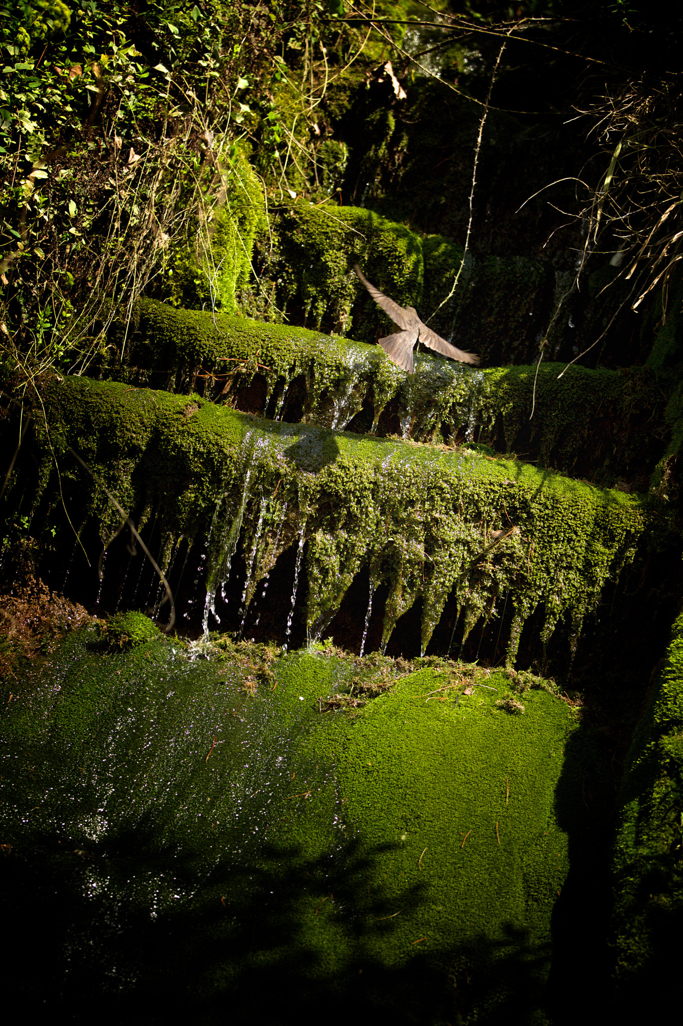 Canon EF 70-200mm F4L IS USM sample photo. Con los brazos abiertos photography