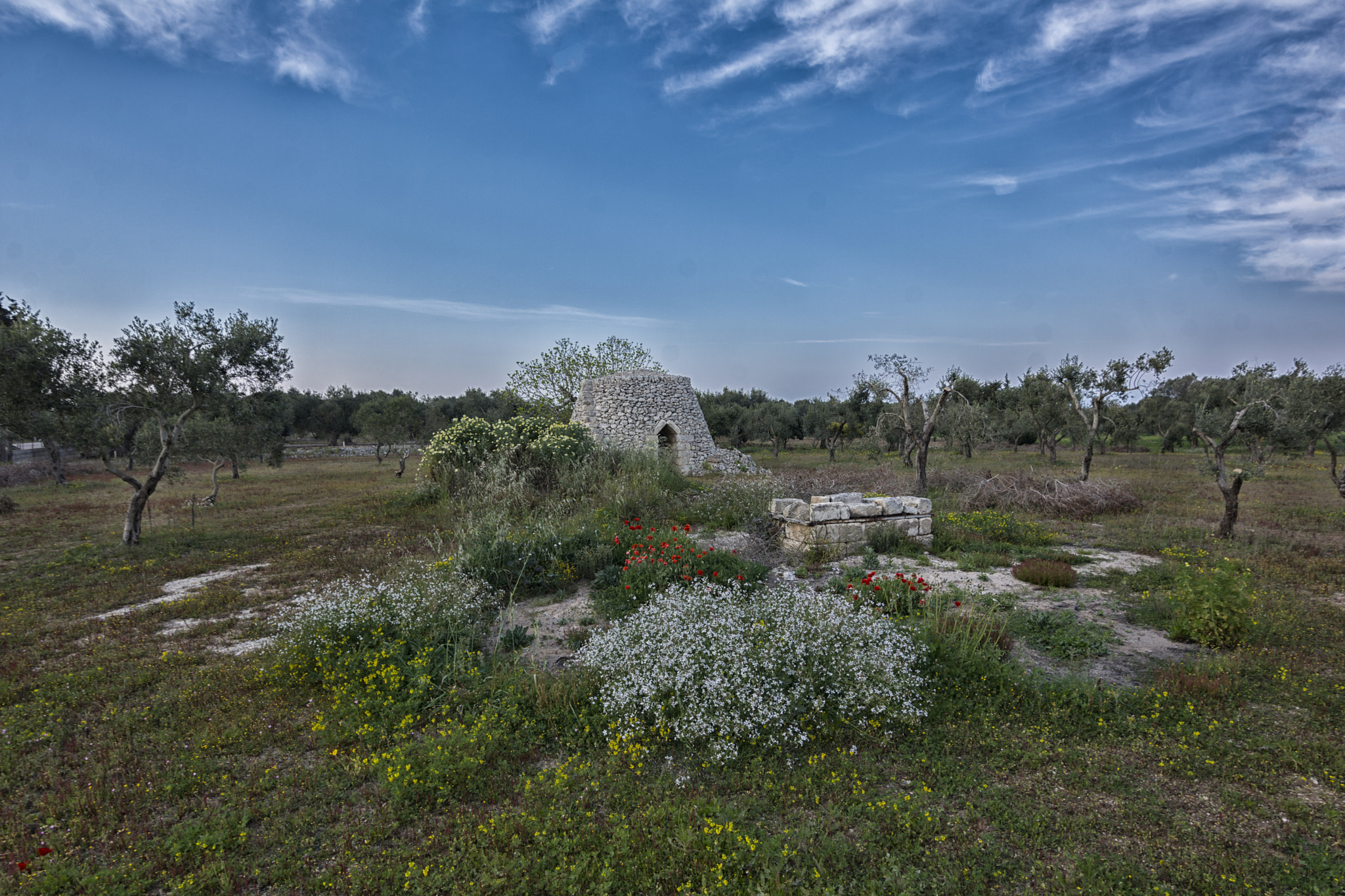 Nikon D7100 sample photo. E' primavera!!! photography