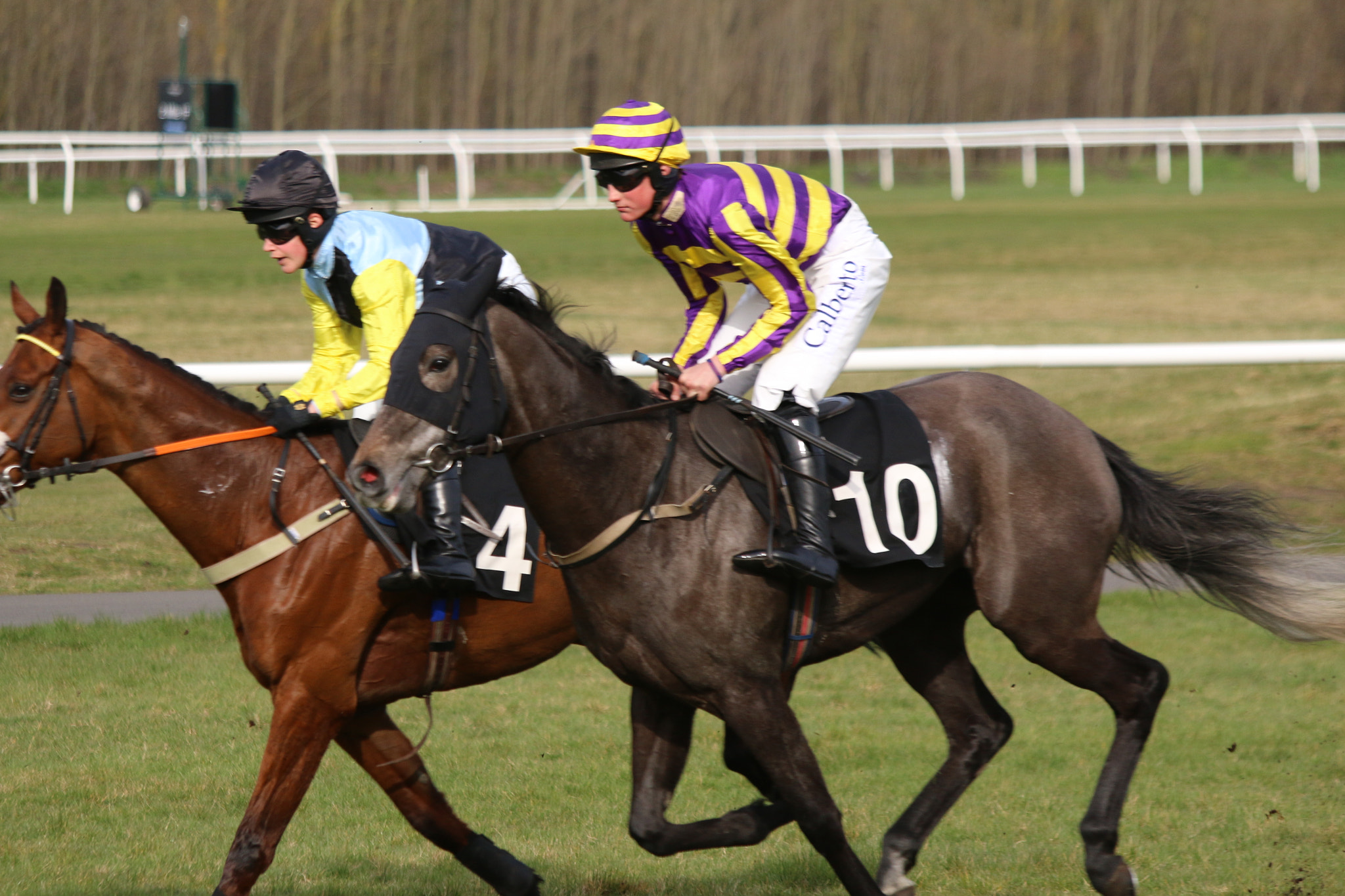 Canon EF 70-300mm F4-5.6 IS USM sample photo. Img photography