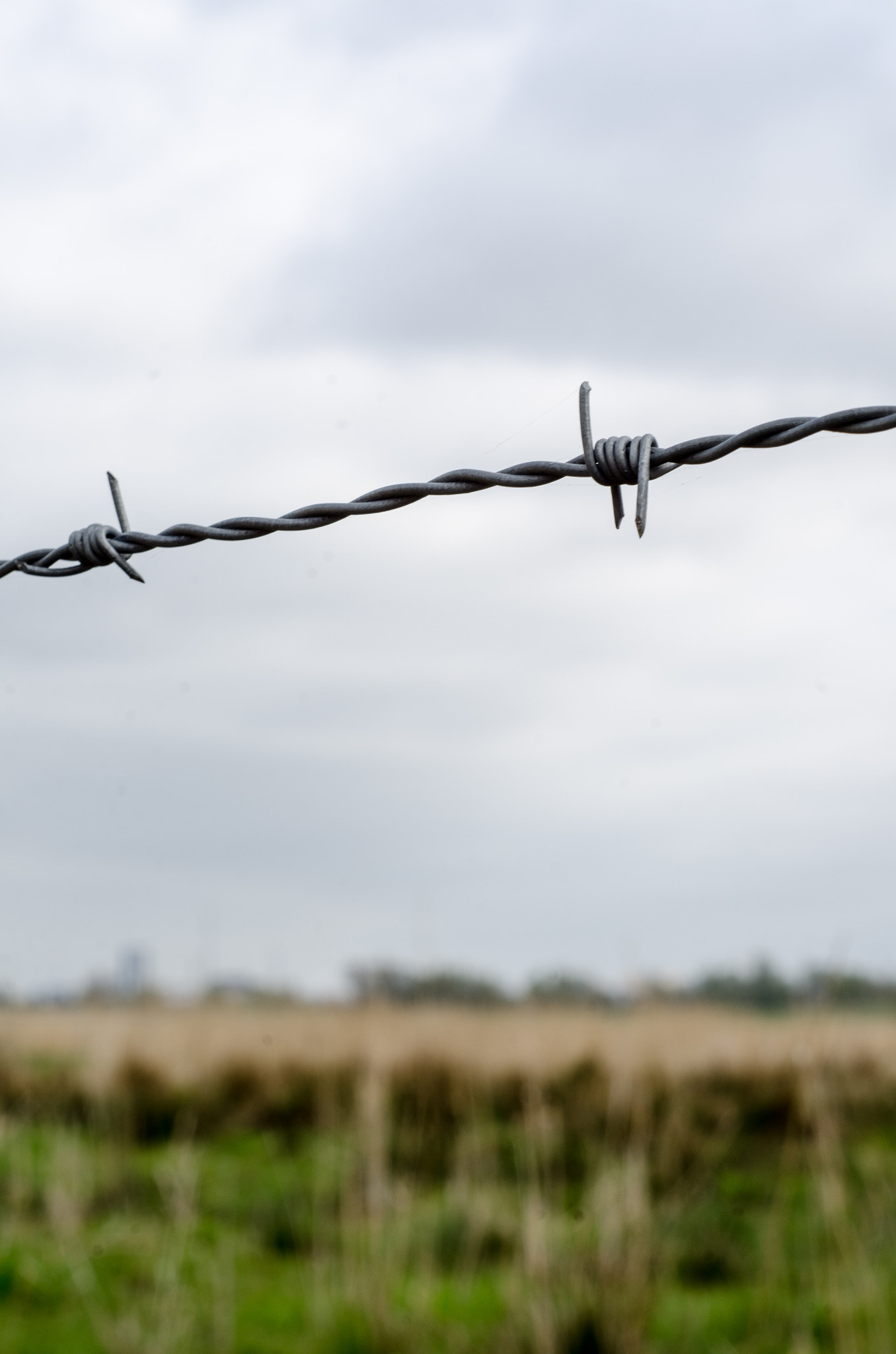 Nikon D7000 sample photo. Barbed wire photography