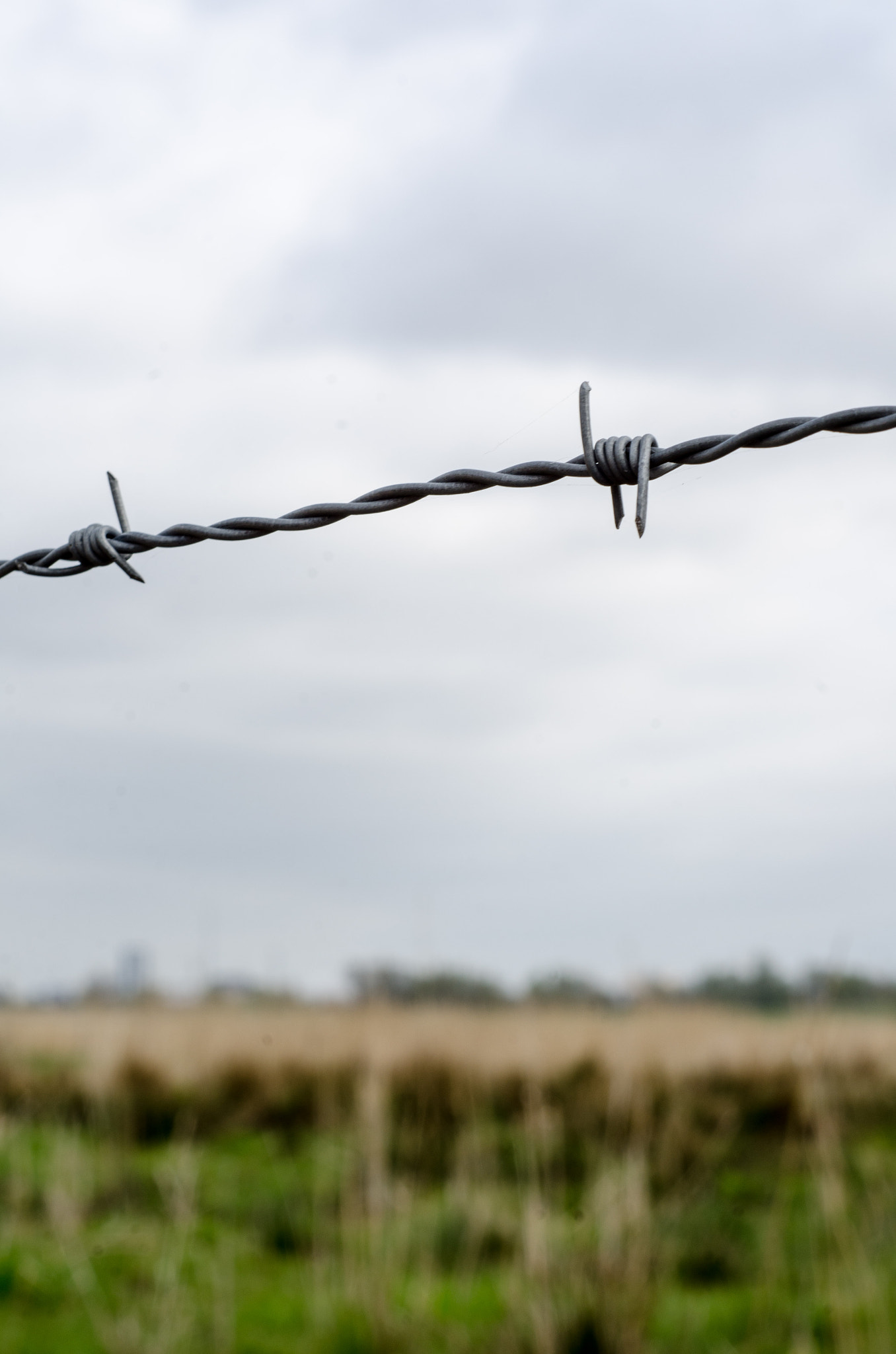Nikon D7000 + Nikon AF Nikkor 50mm F1.8D sample photo. Barbed wire photography