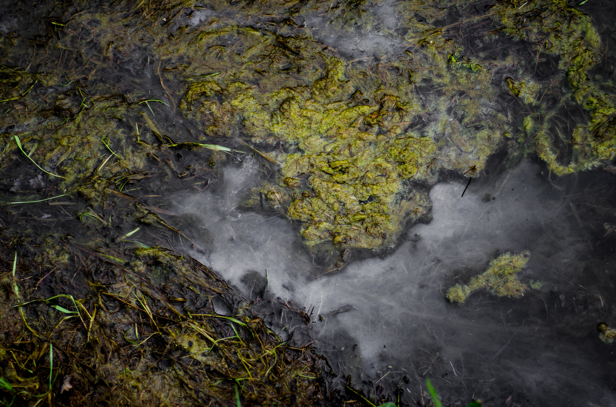 Nikon AF Nikkor 50mm F1.8D sample photo. Sludge photography