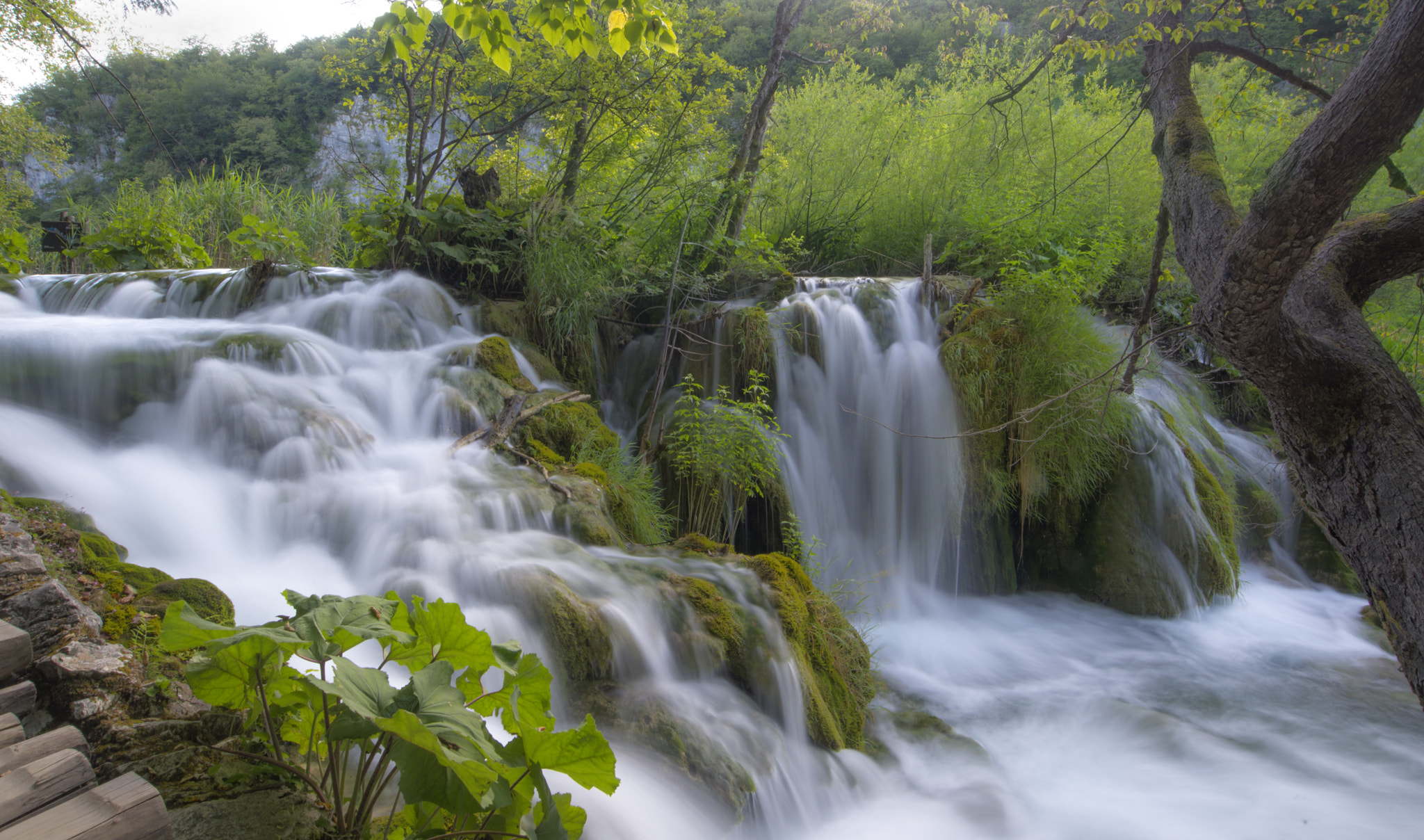 Nikon AF-S Nikkor 18-35mm F3.5-4.5G ED sample photo. Plitvice lakes sunset shot photography