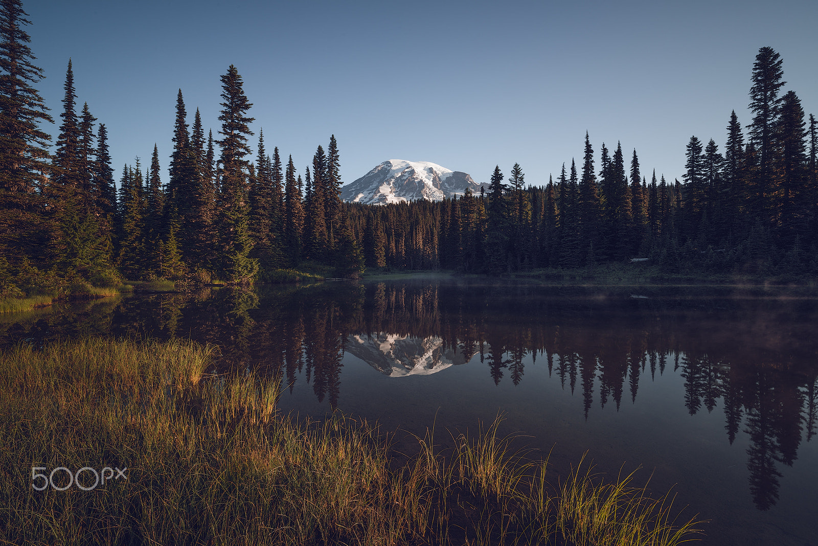 Nikon D800 sample photo. Mount rainier photography