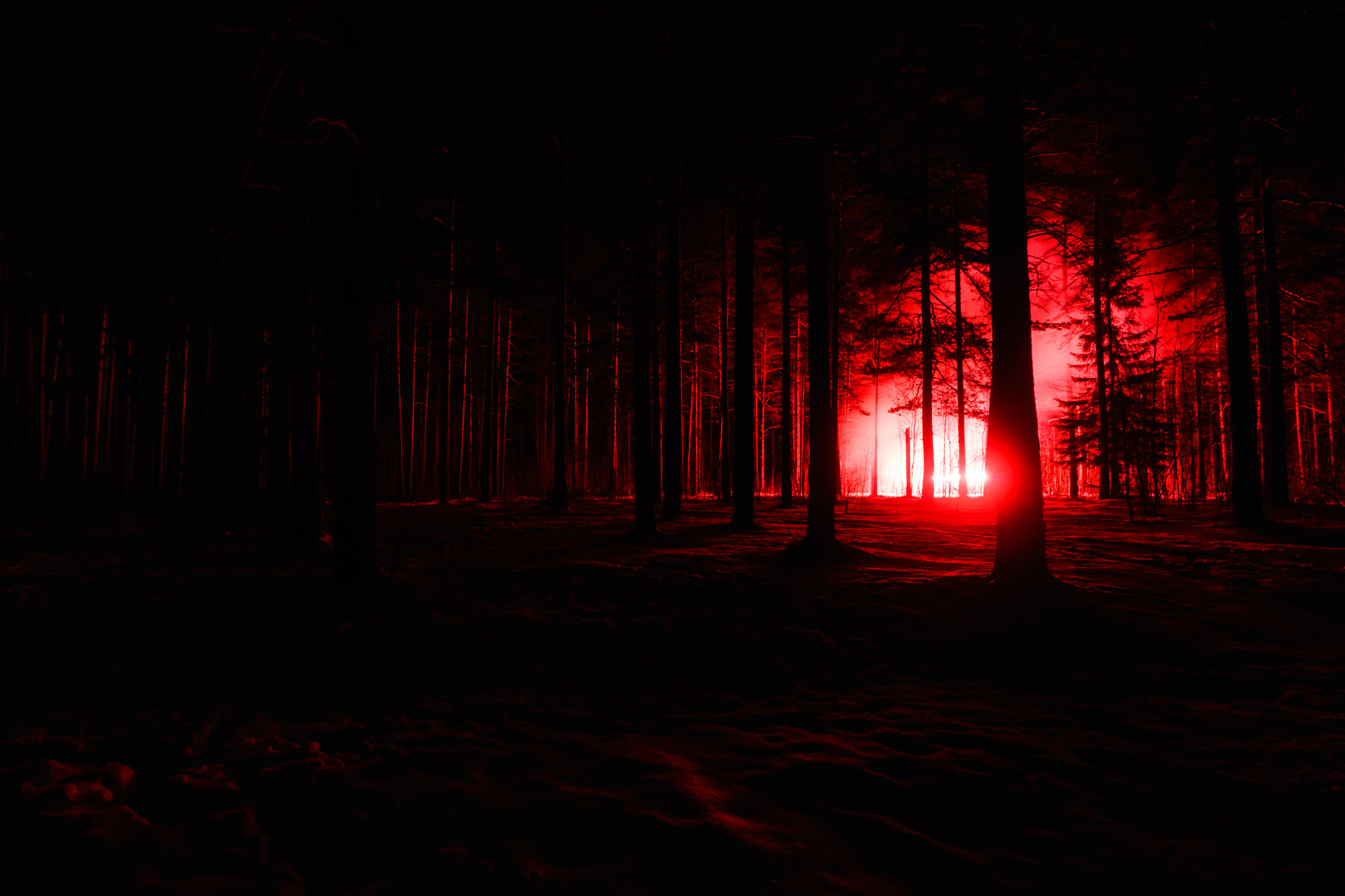 ZEISS Batis 18mm F2.8 sample photo. Night light photography