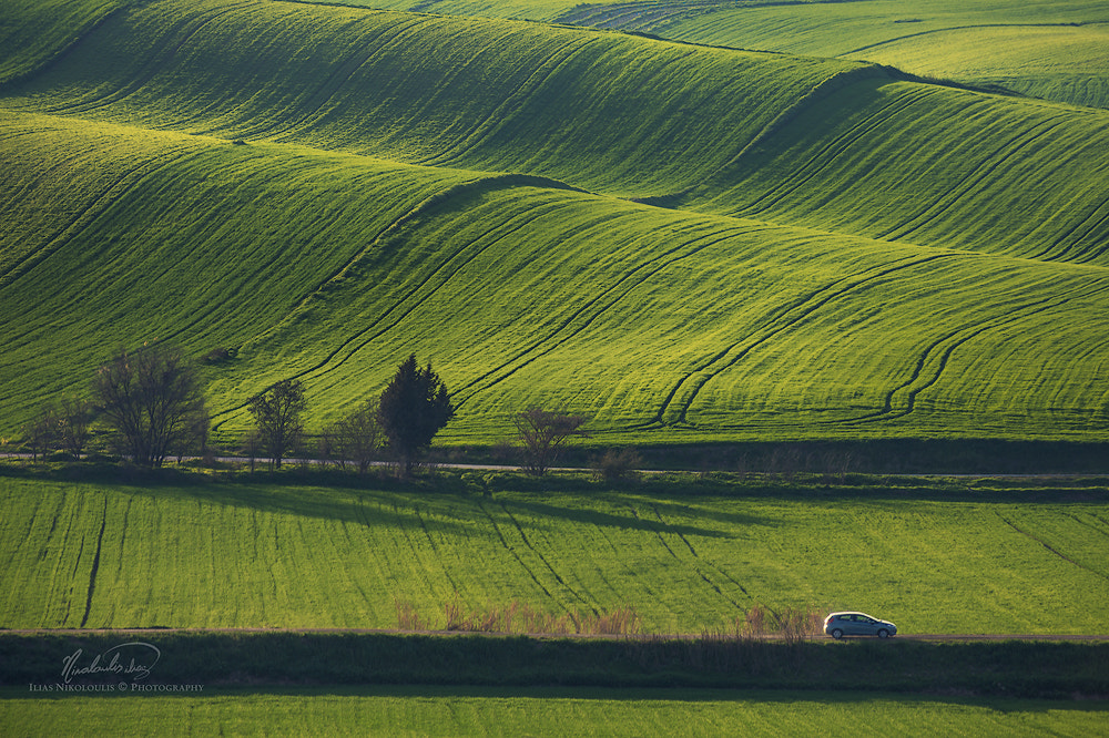 Nikon D7200 sample photo. Spring fields photography