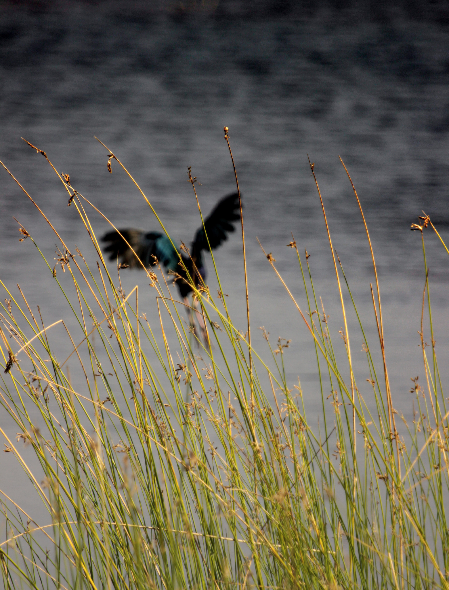 Canon EF 100-400mm F4.5-5.6L IS USM sample photo. Earth hour photography