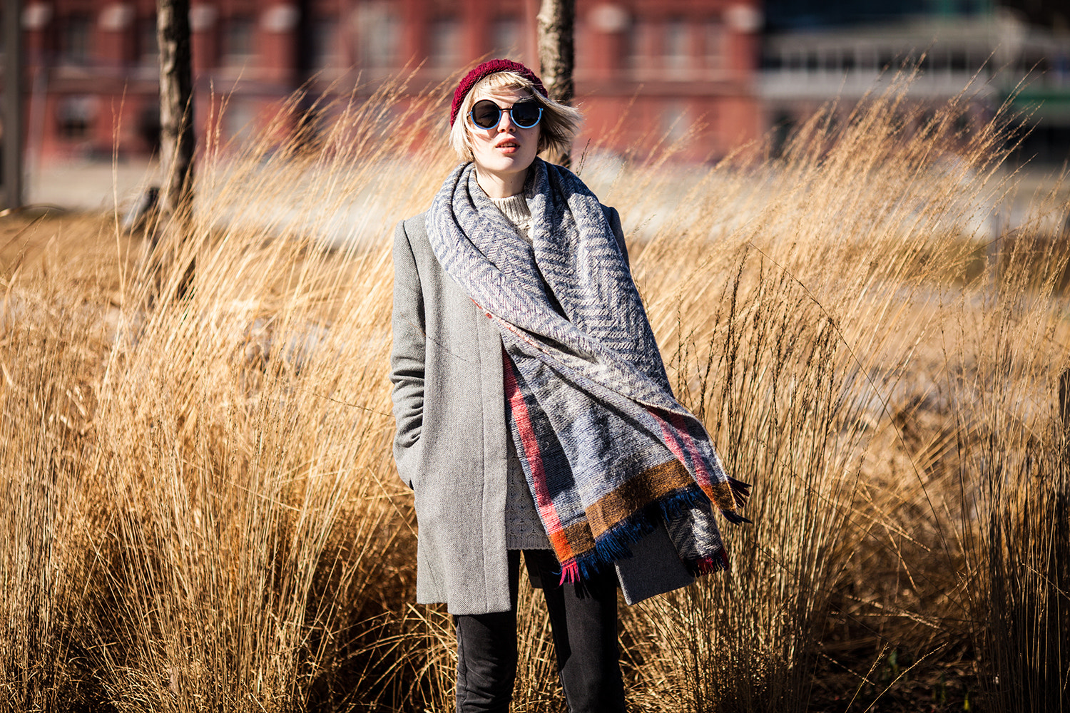 Canon EF 135mm F2L USM sample photo. Wind photography