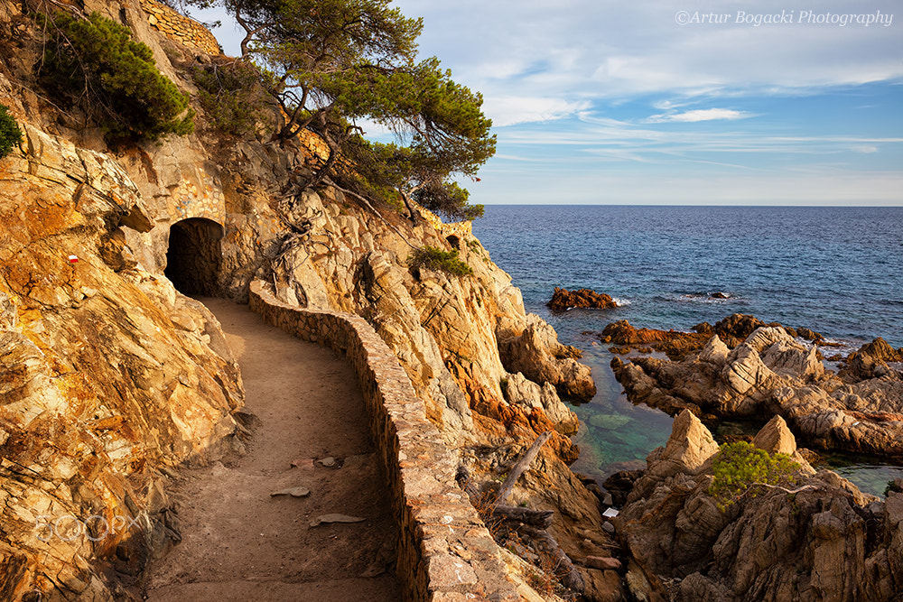 Canon EOS 5D Mark II sample photo. Costa brava seaside trail in spain photography