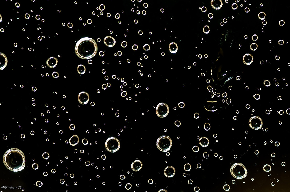Nikon D90 + Tamron SP 90mm F2.8 Di VC USD 1:1 Macro sample photo. It's raining  against the window photography