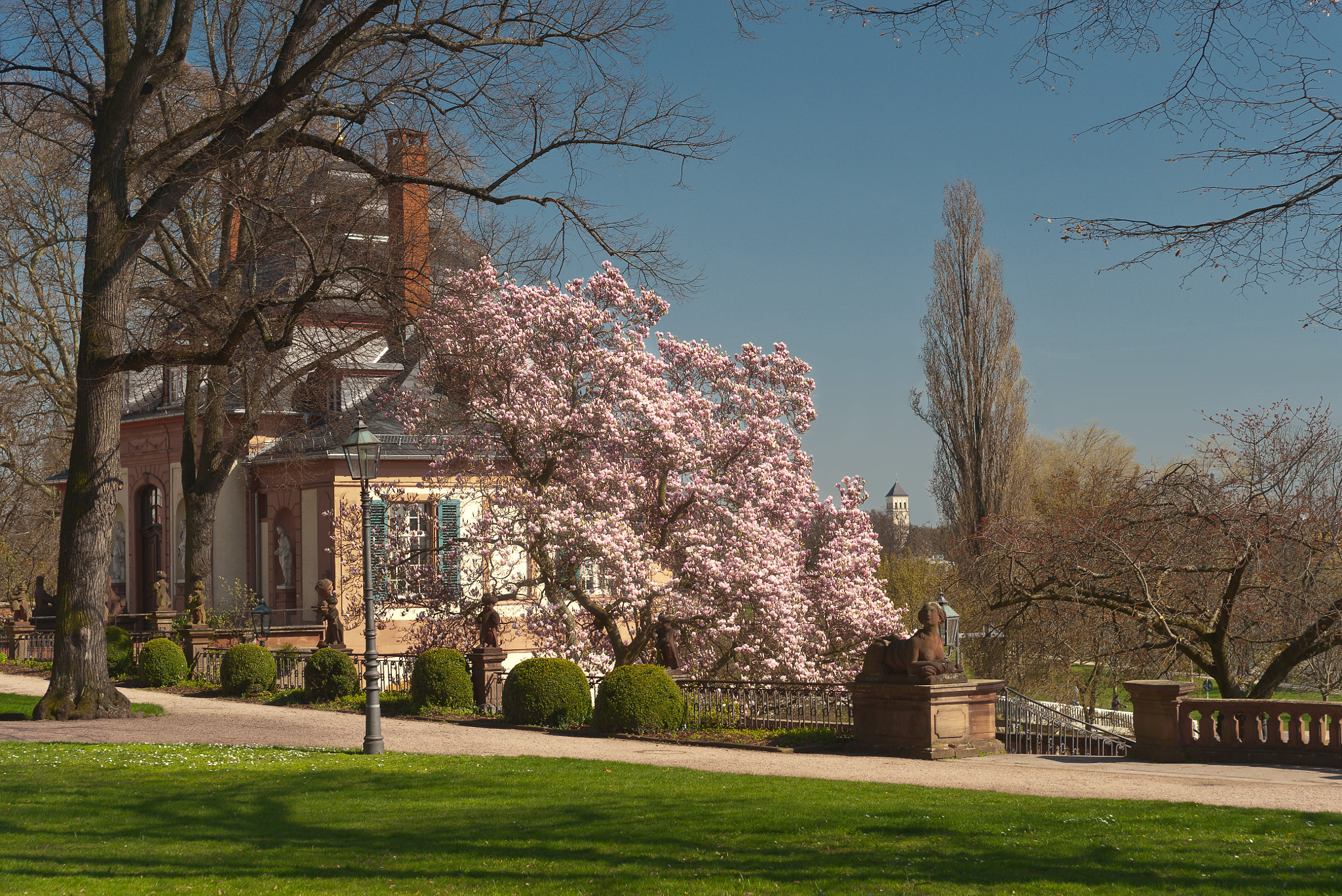 Nikon D700 + AF Zoom-Nikkor 35-70mm f/2.8 sample photo. Bolongaro magnolia photography