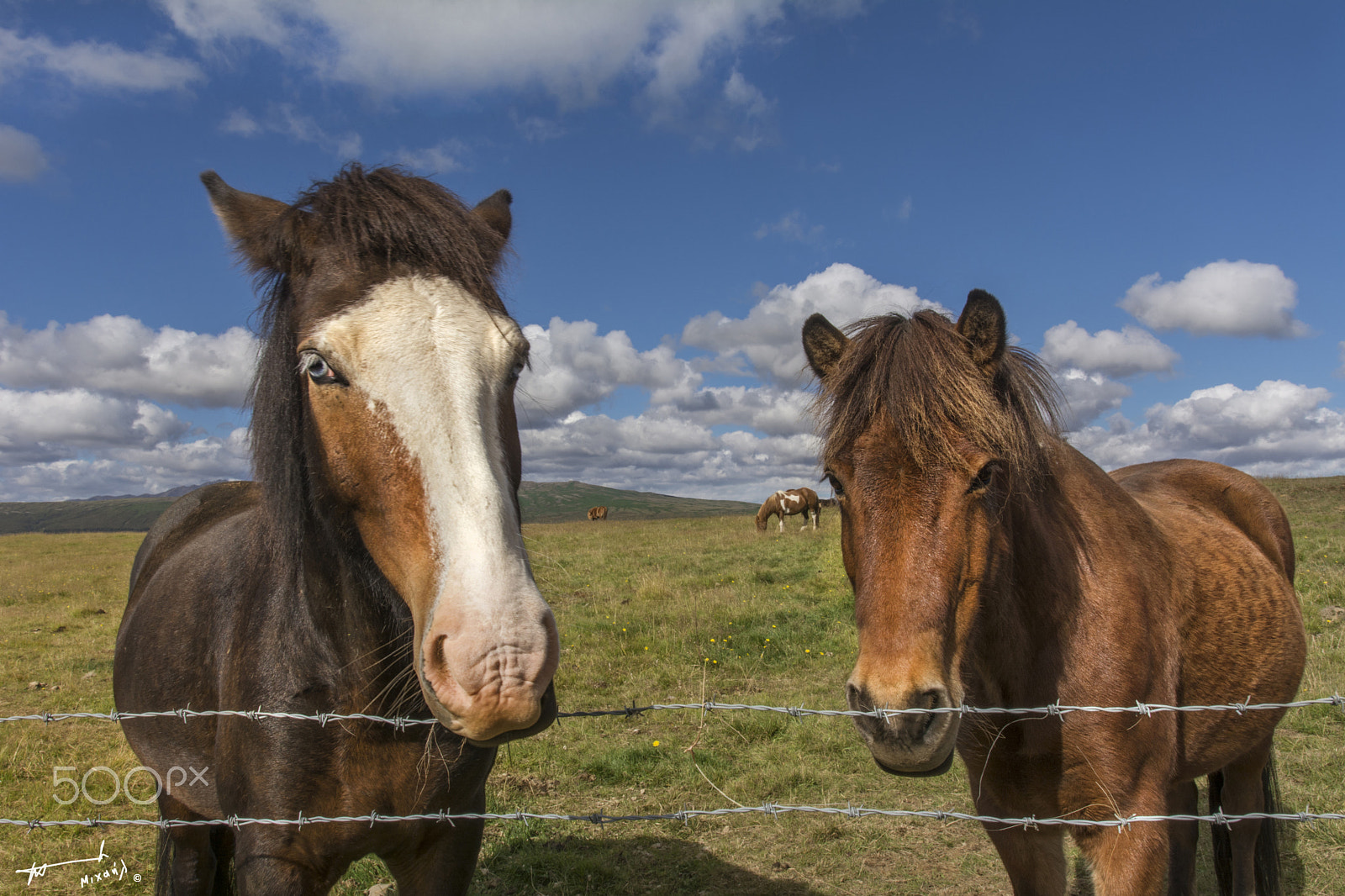 Nikon D7100 sample photo. Iceland road-shots photography