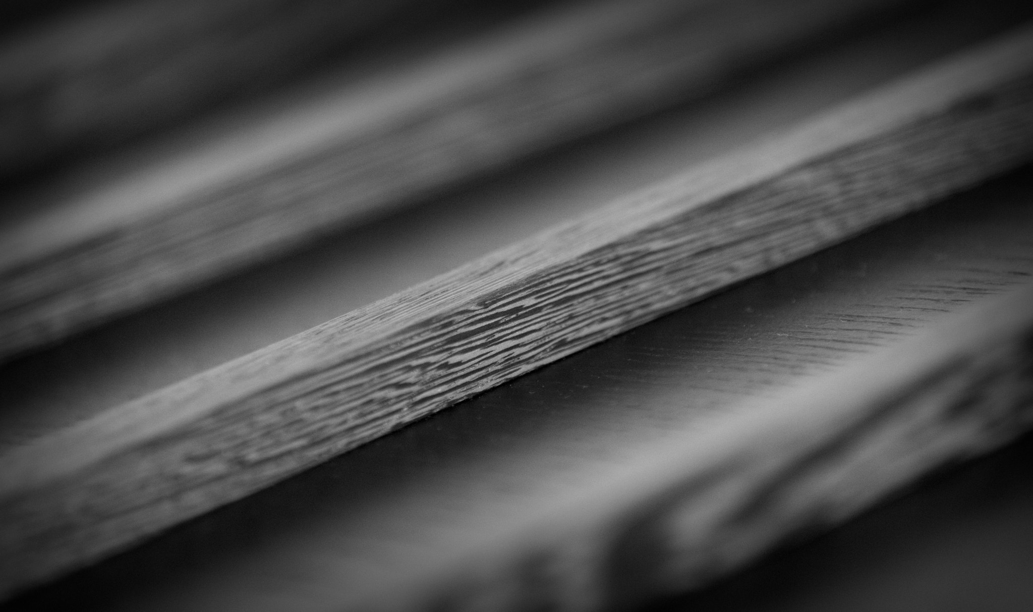 Canon EF 70-200mm F2.8L IS II USM sample photo. Woody photography