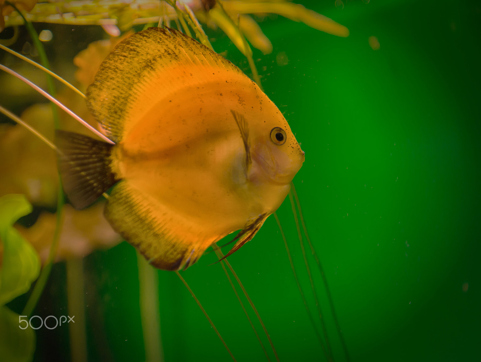 Nikon AF-S Nikkor 24-120mm F4G ED VR sample photo. Eka photography