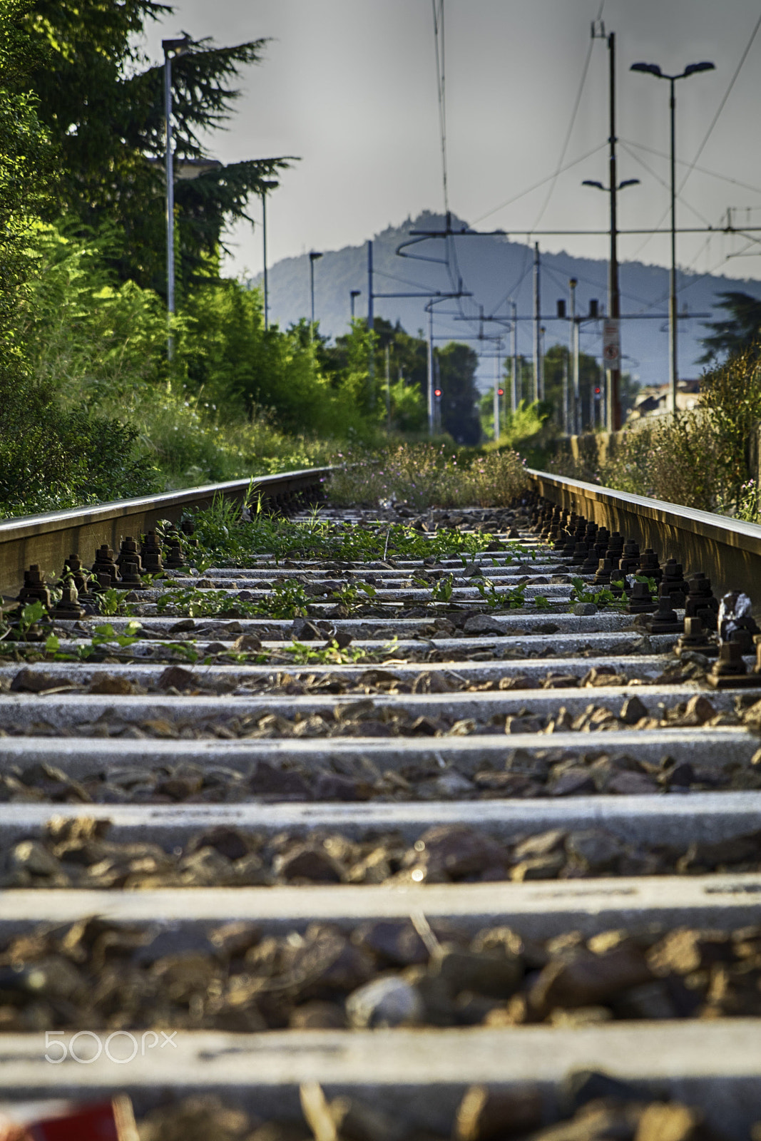 Canon EOS 80D + Sigma 24-70mm F2.8 EX DG Macro sample photo. Prone down on railway tracks photography