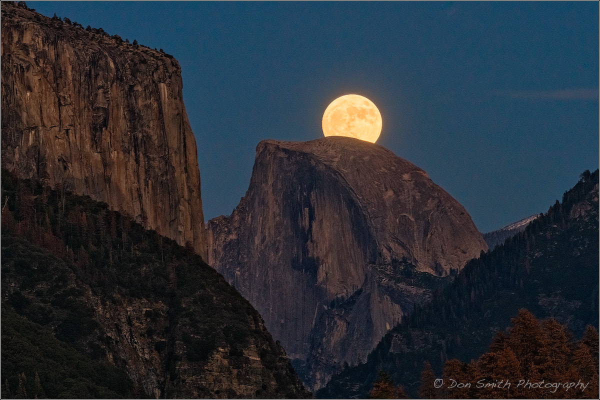 Sony a7R II + 150-600mm F5-6.3 DG OS HSM | Sports 014 sample photo. Supermoon over half dome photography