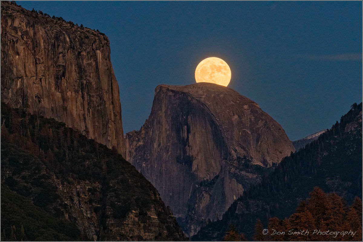 150-600mm F5-6.3 DG OS HSM | Sports 014 sample photo. Supermoon over half dome photography