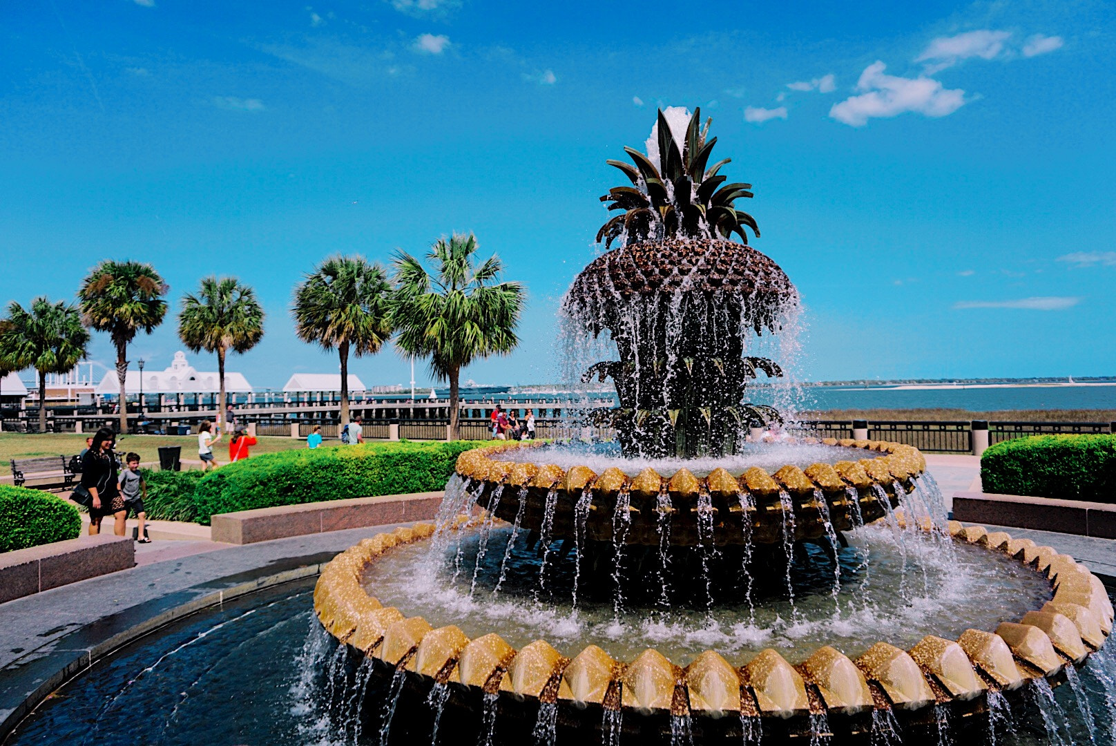 Sony a5100 + Sony E 16-50mm F3.5-5.6 PZ OSS sample photo. The pineapple fountain in charleston photography