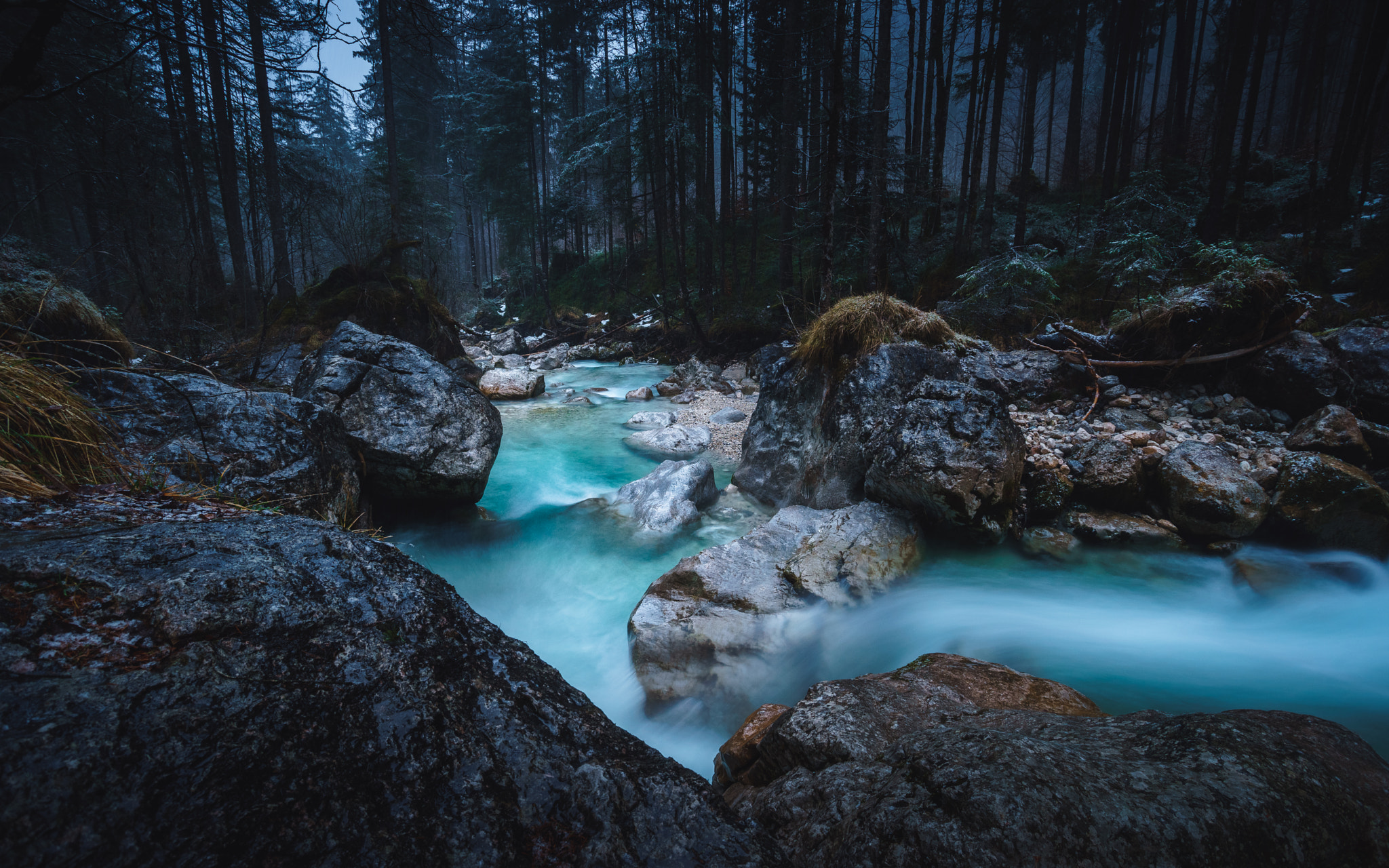 Sony a7 II + Sony DT 50mm F1.8 SAM sample photo. Echanted forest photography