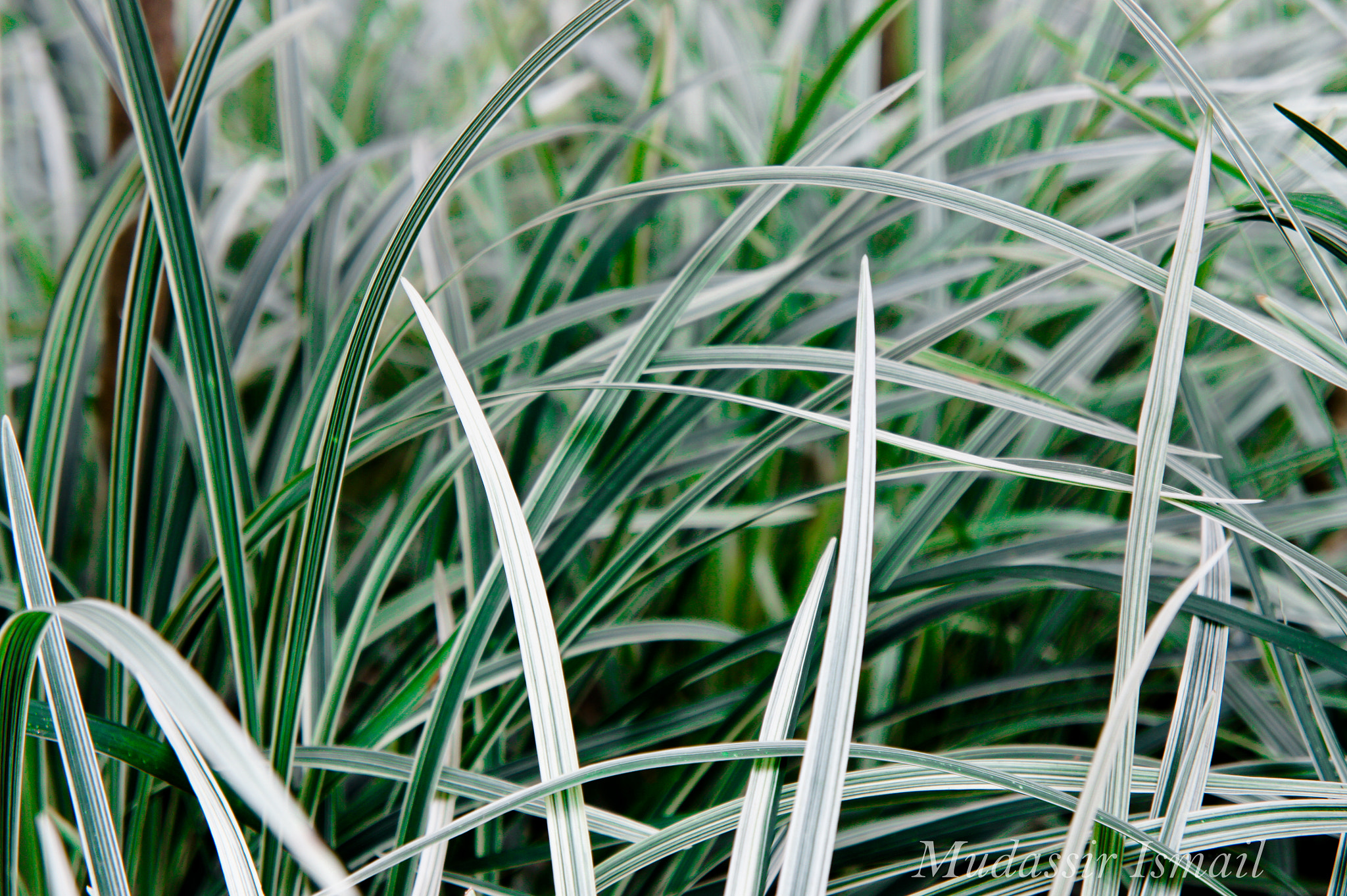 Sony Alpha NEX-3 + Sony E 18-55mm F3.5-5.6 OSS sample photo. Wall paper photography