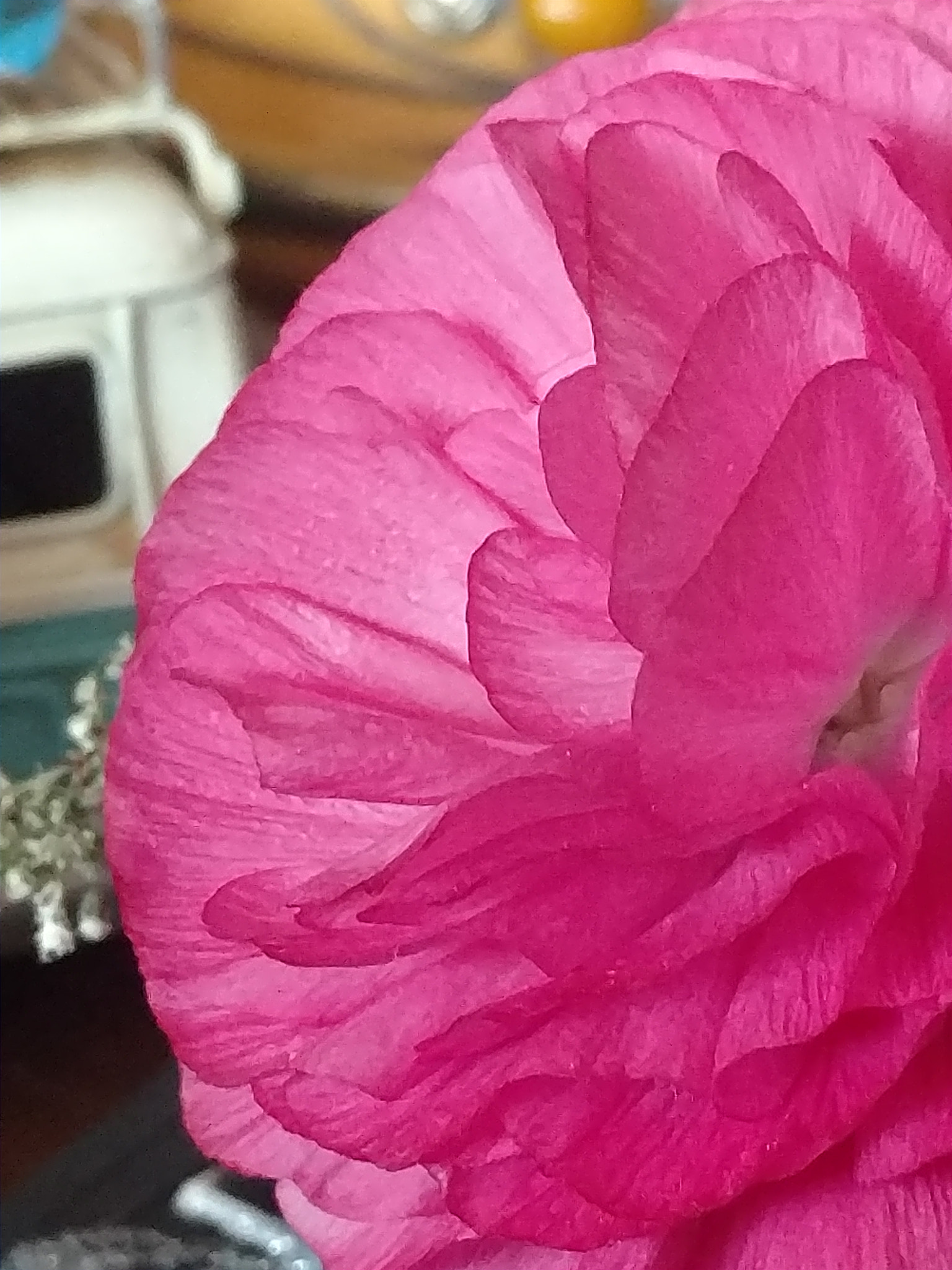 Motorola Moto X Style sample photo. Rose photography