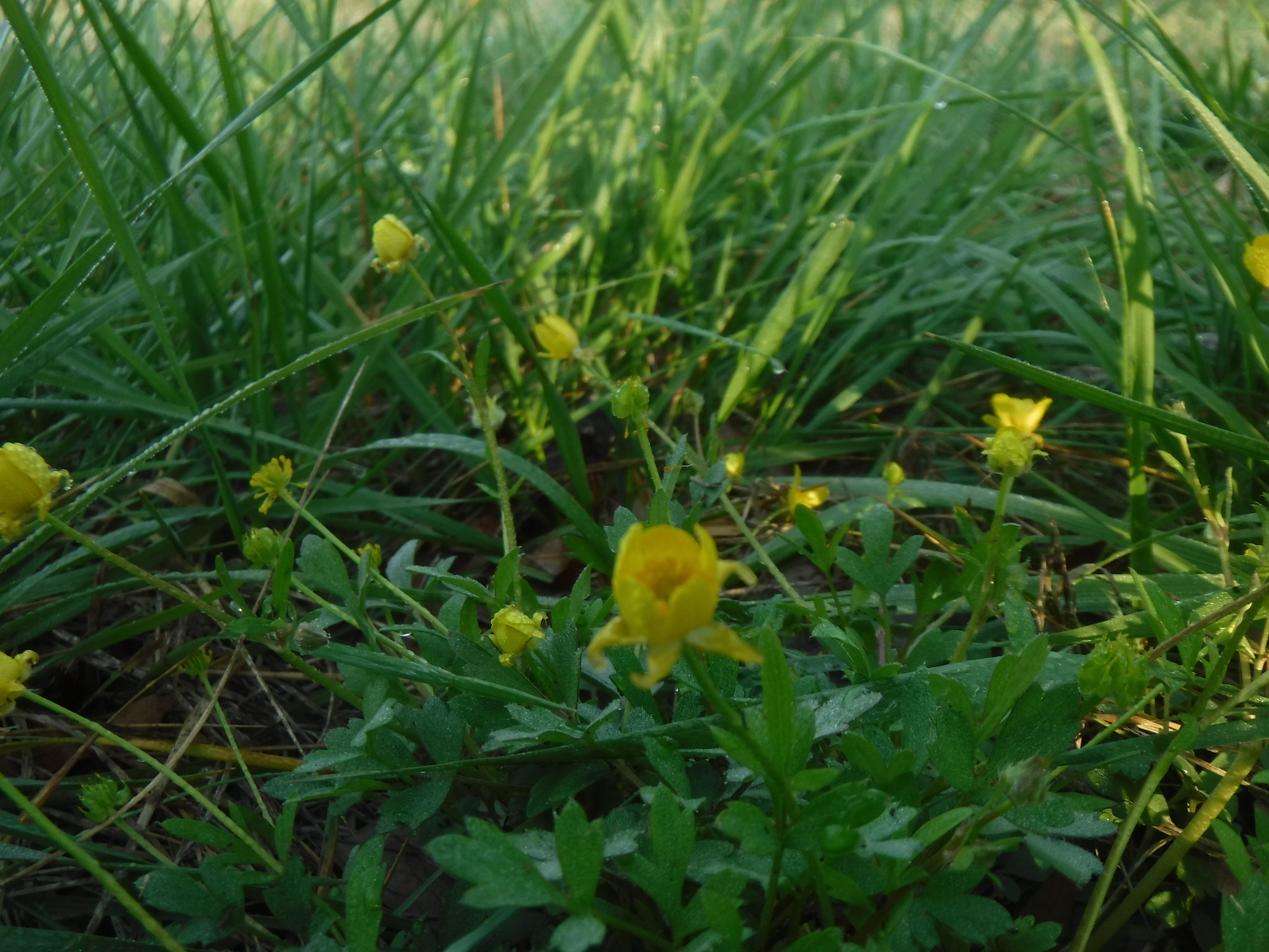 Fujifilm FinePix XP90 XP91 XP95 sample photo. Dscf photography