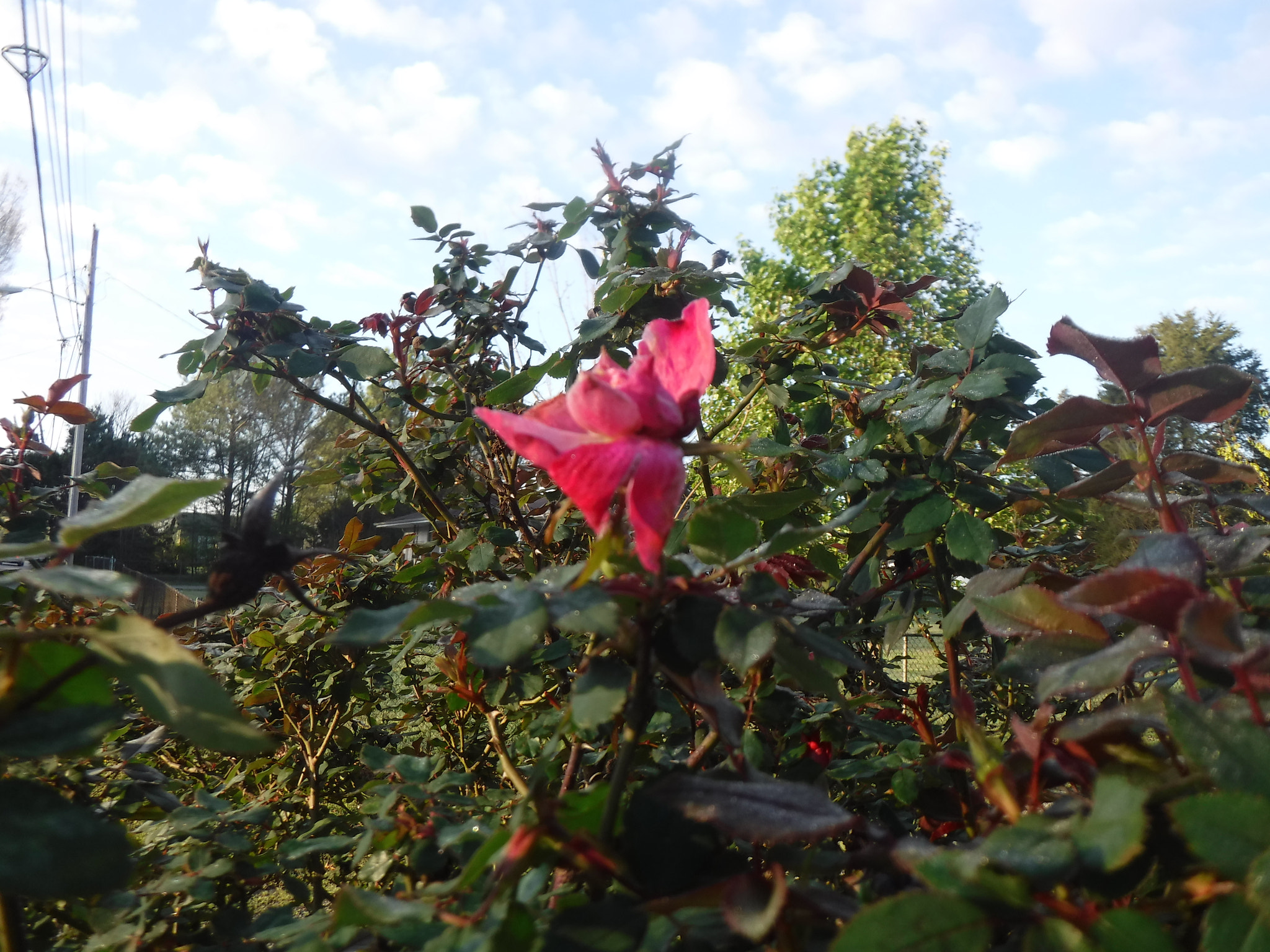 Fujifilm FinePix XP90 XP91 XP95 sample photo. Dscf photography