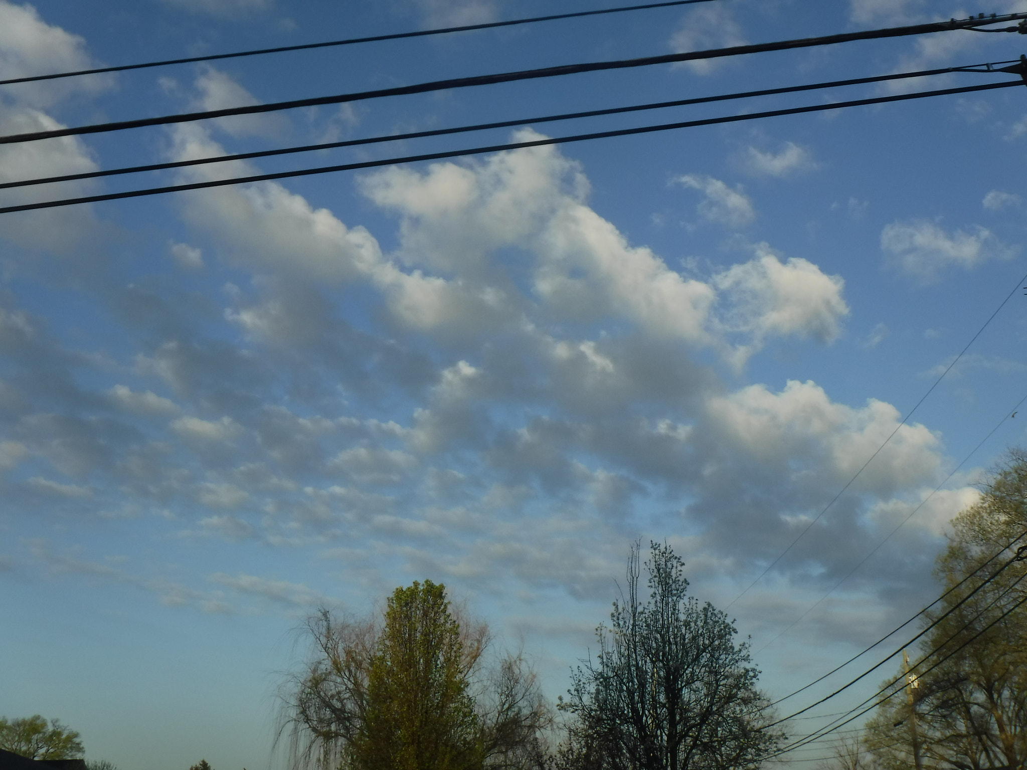 Fujifilm FinePix XP90 XP91 XP95 sample photo. Dscf photography