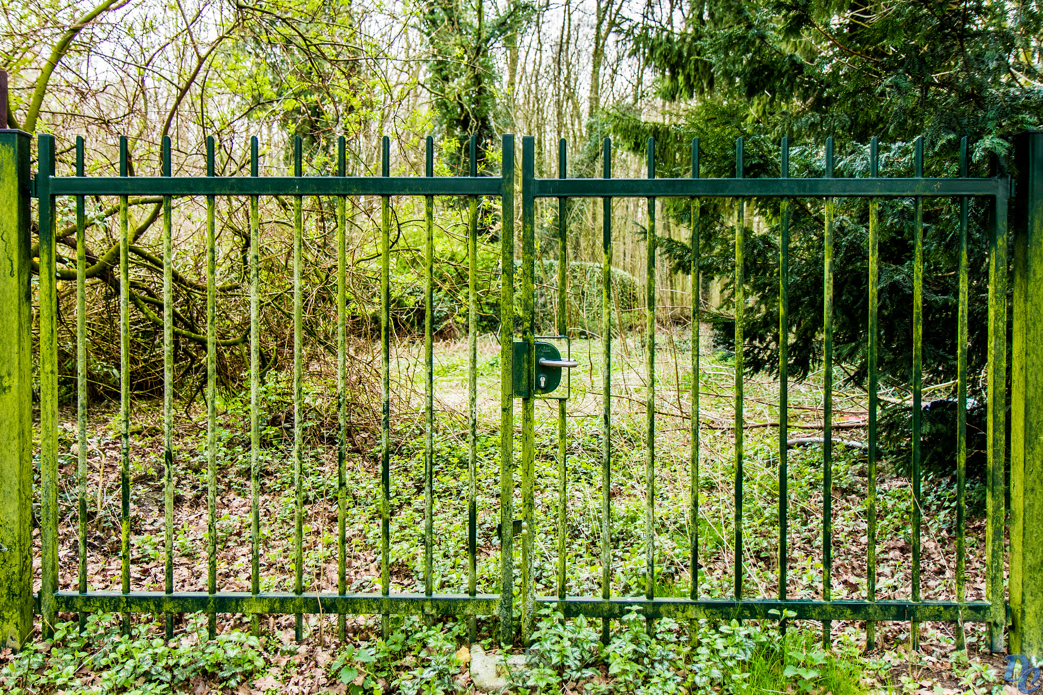 Canon EF-S 17-55mm F2.8 IS USM sample photo. Gate for entering the jungle photography