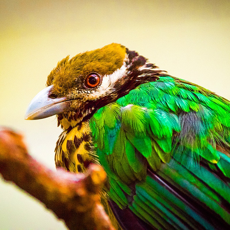 Sigma 150-600mm F5-6.3 DG OS HSM | C sample photo