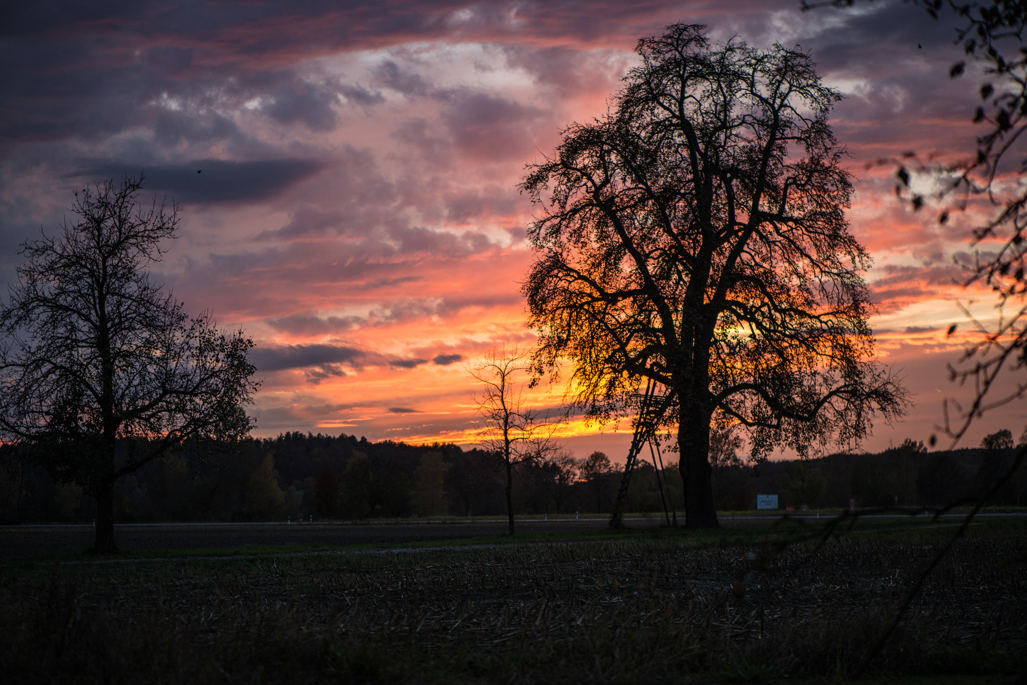 Nikon AF-S Micro-Nikkor 105mm F2.8G IF-ED VR sample photo. Sunset in salem photography