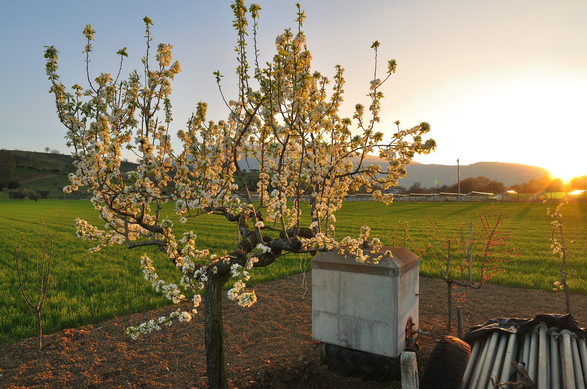 Samyang 14mm F2.8 ED AS IF UMC sample photo. Springtime sunset in the country photography