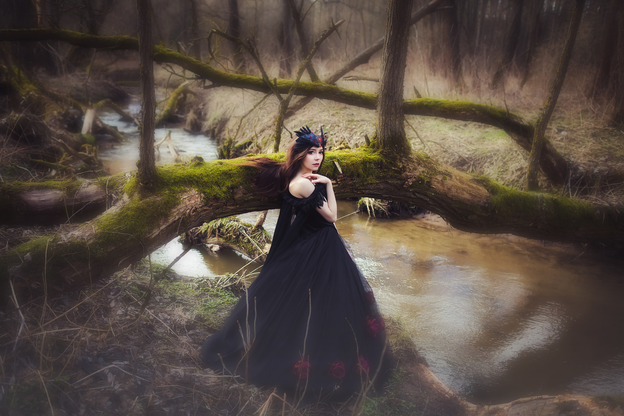Canon EF 35mm F1.4L USM sample photo. Китти photography